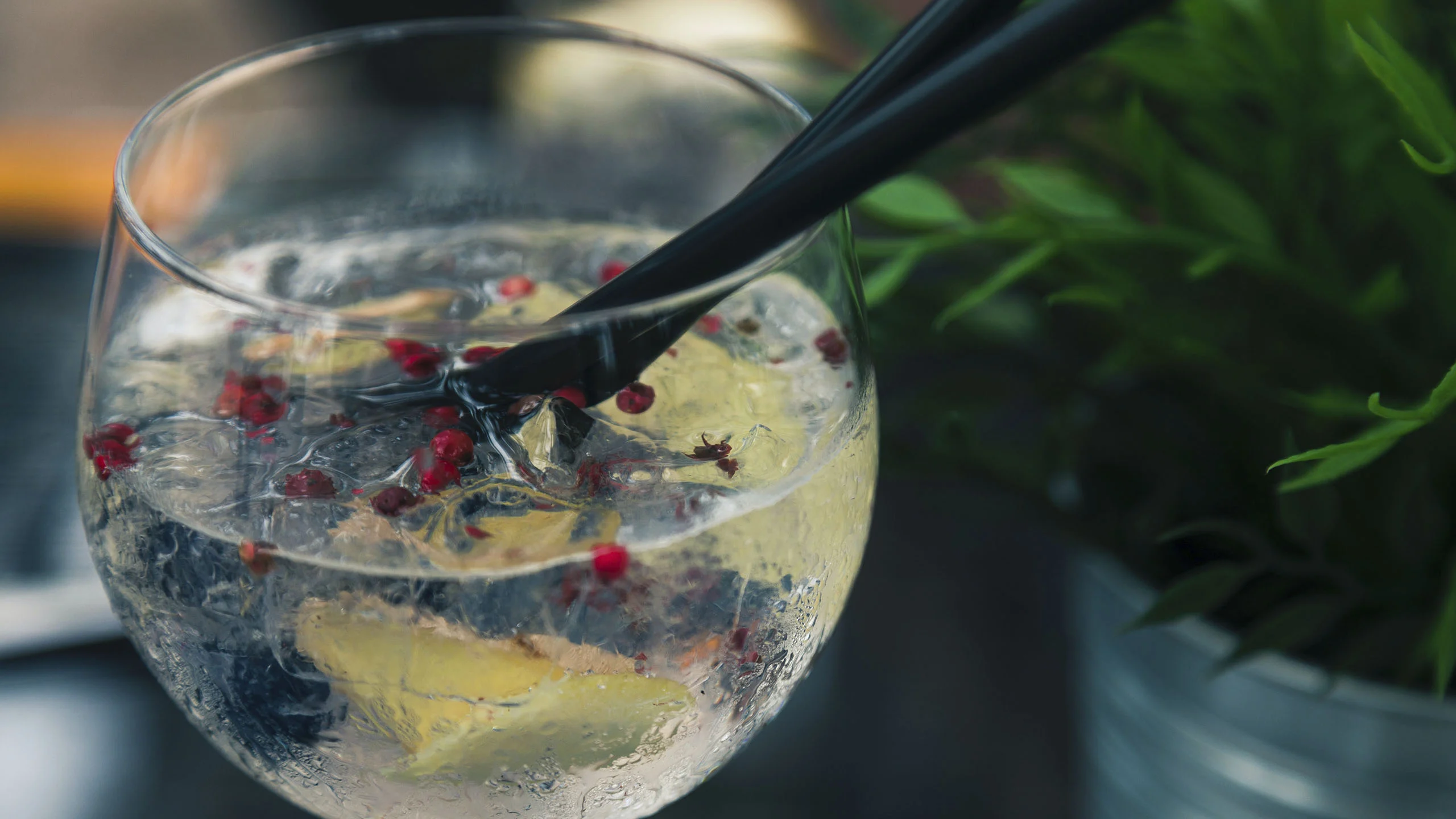 Cocteles con ginebra más allá del Gin & Tonic