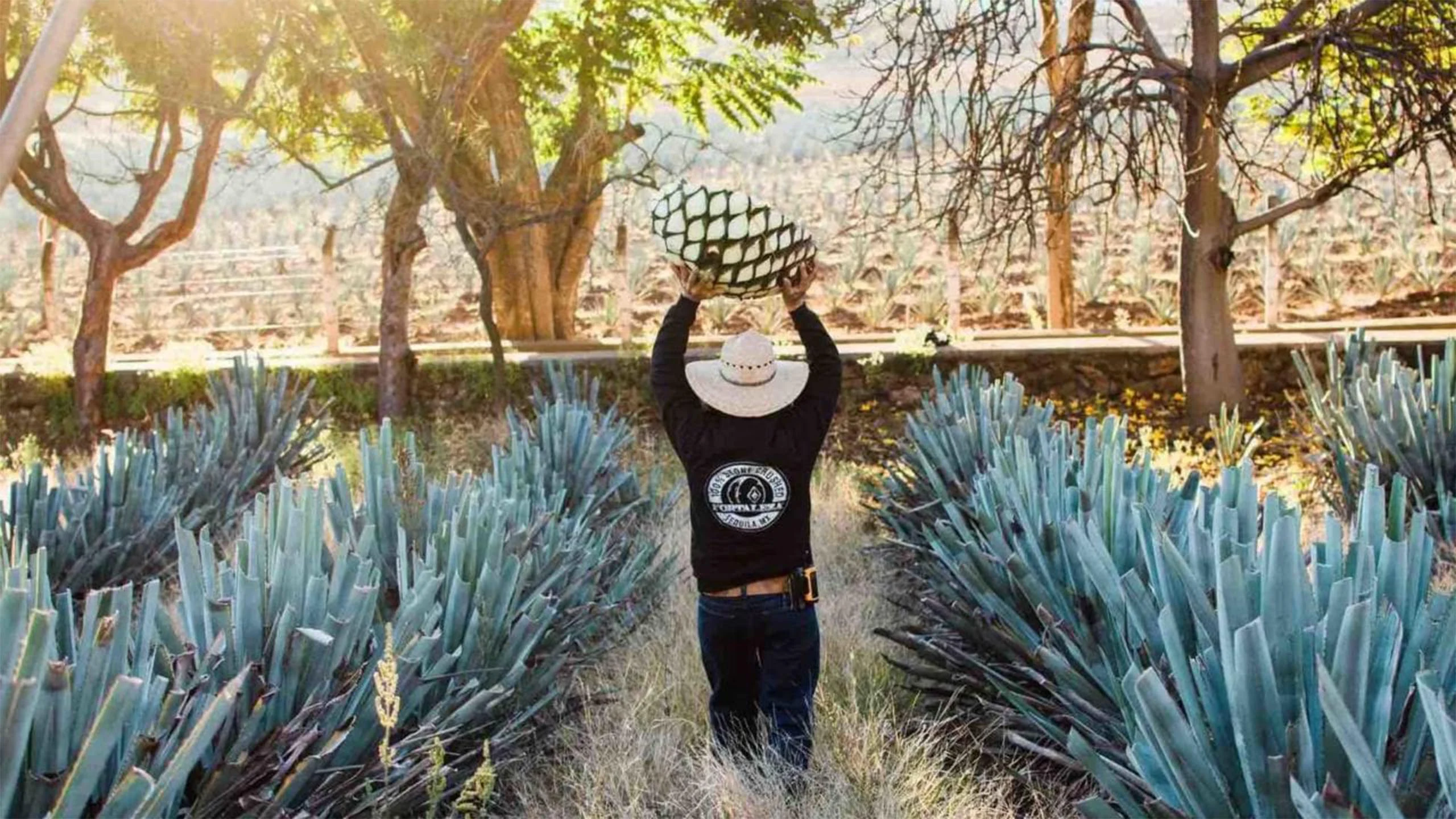 Este tequila es el mejor nuevo espirituoso del mundo: Spirited Awards 2020