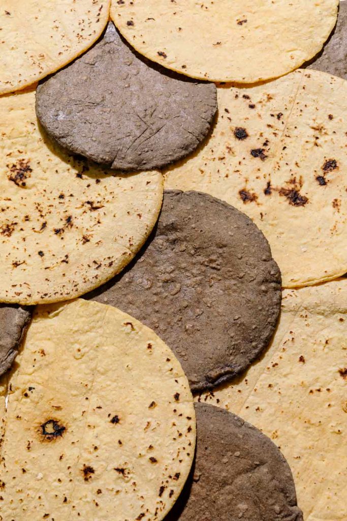 tortilla