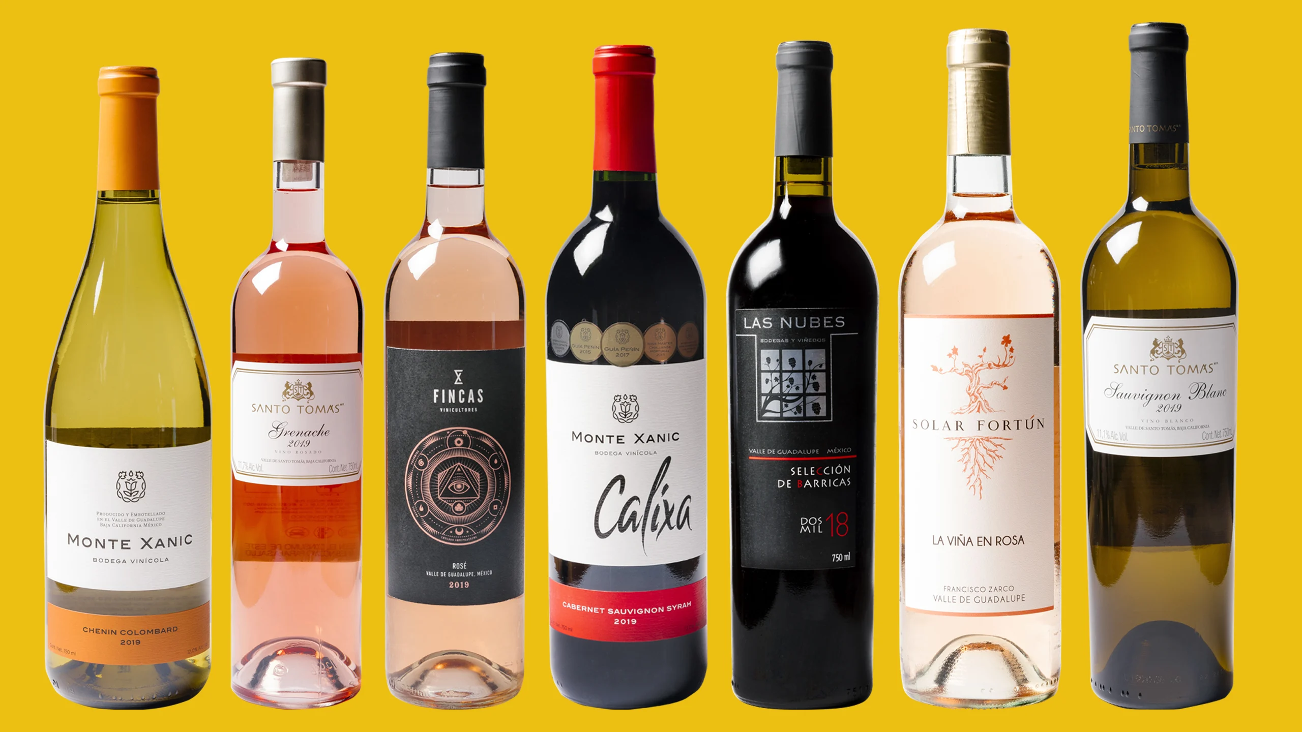 Vinos del Valle de Guadalupe con precios amigables