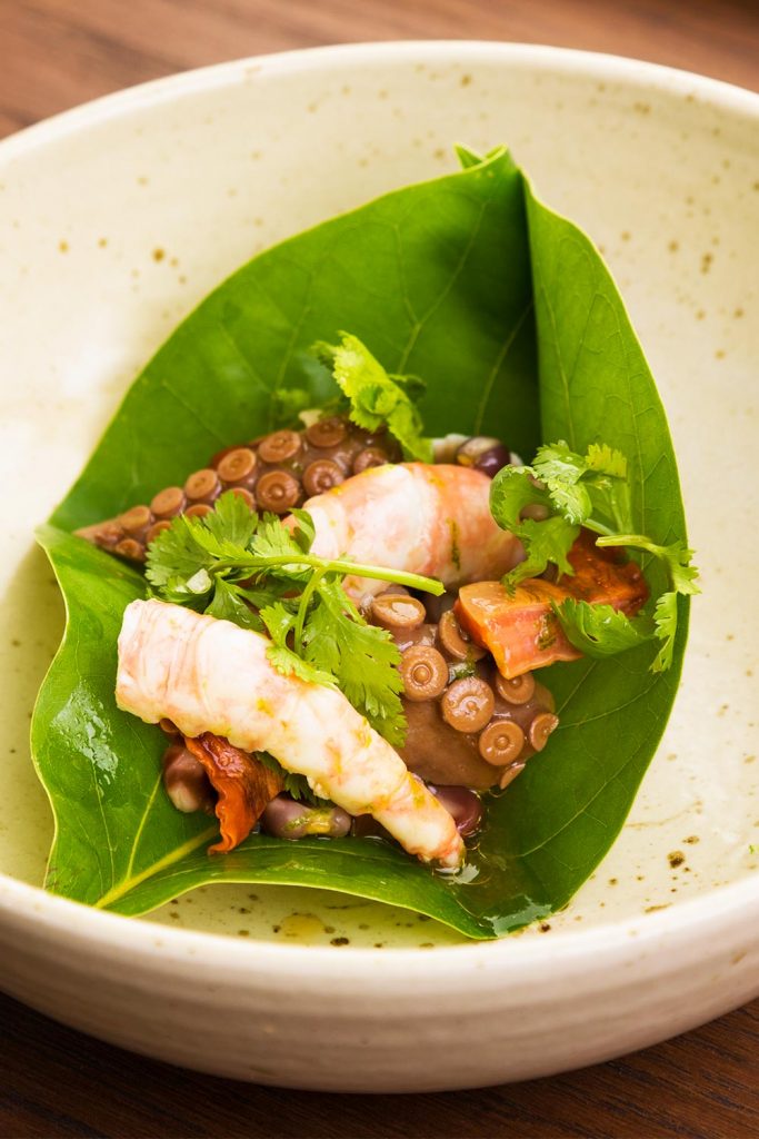 carao-pulpo