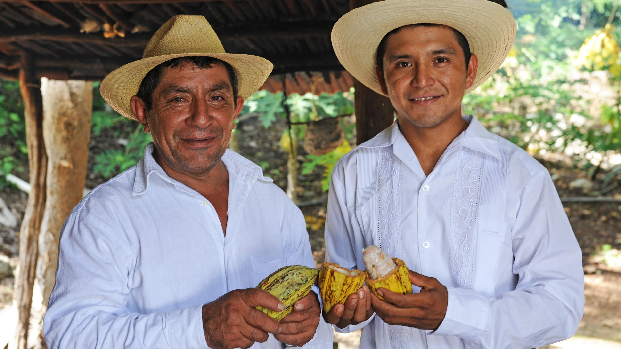 Una compañía belga presentó una línea de chocolate 100% mexicano