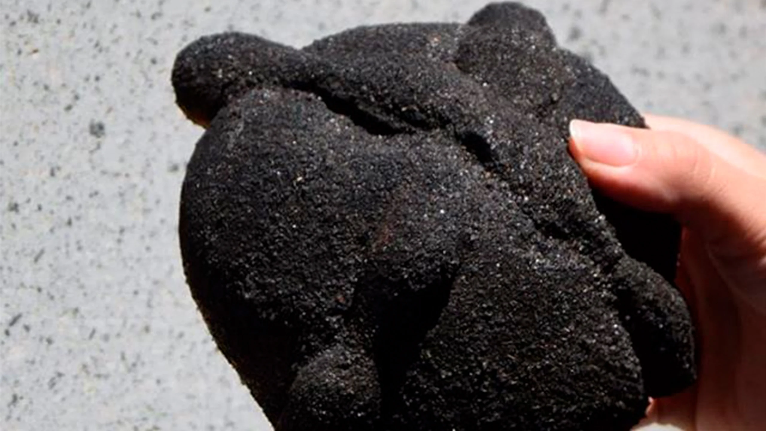 Pan de muerto negro, la tendencia que cautiva esta temporada