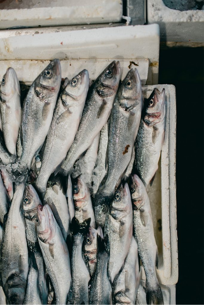 pescados con mercurio