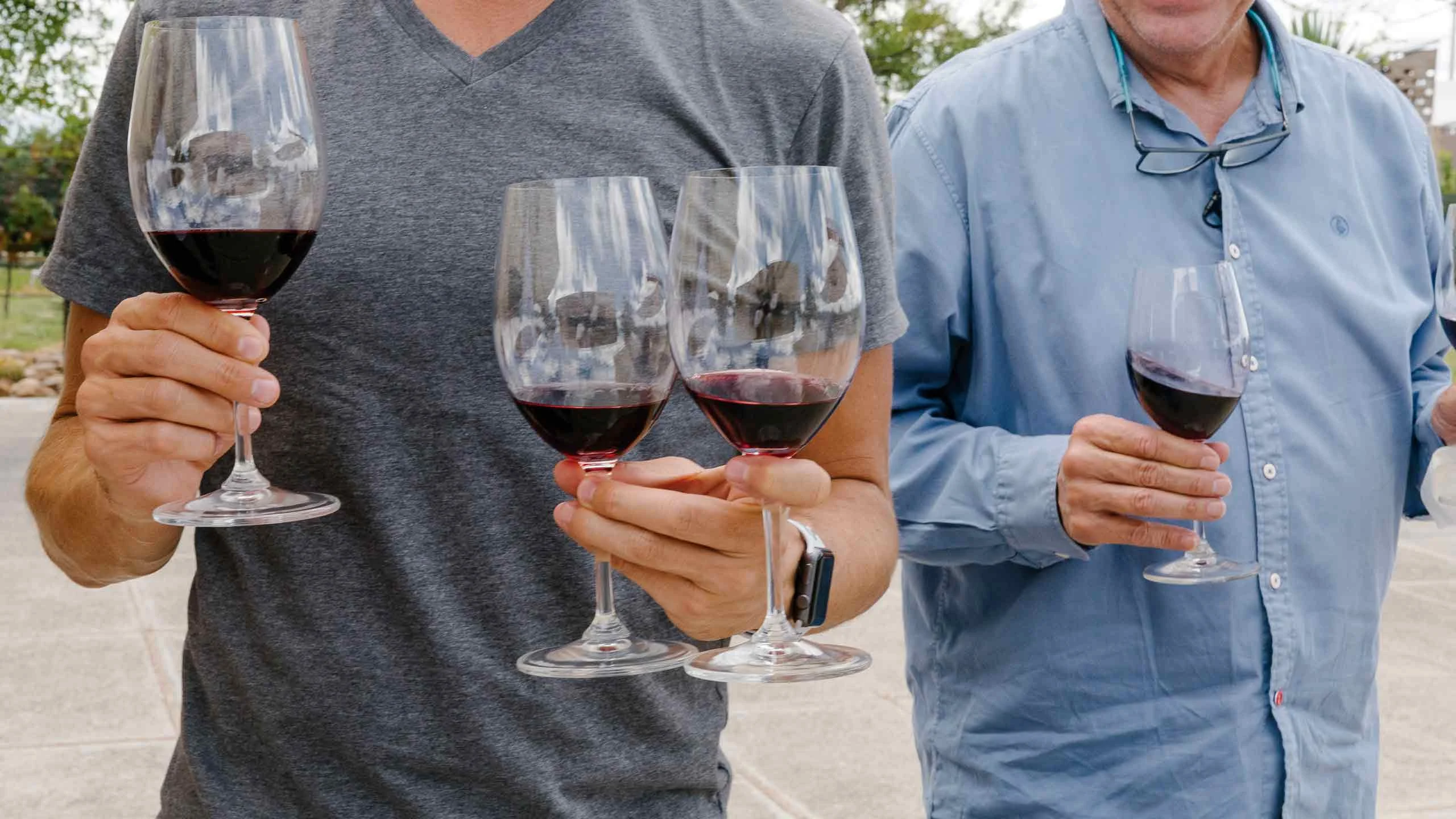 Estas fueron las tendencias para beber vinos durante 2020