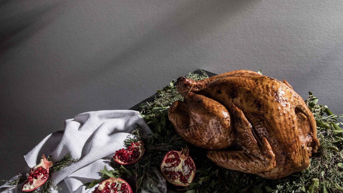 pavo