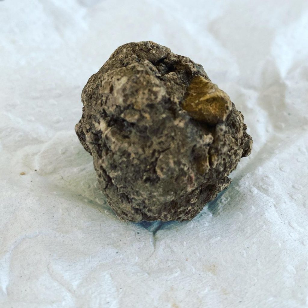 Chogosta: una golosina de tierra comestible de Veracruz