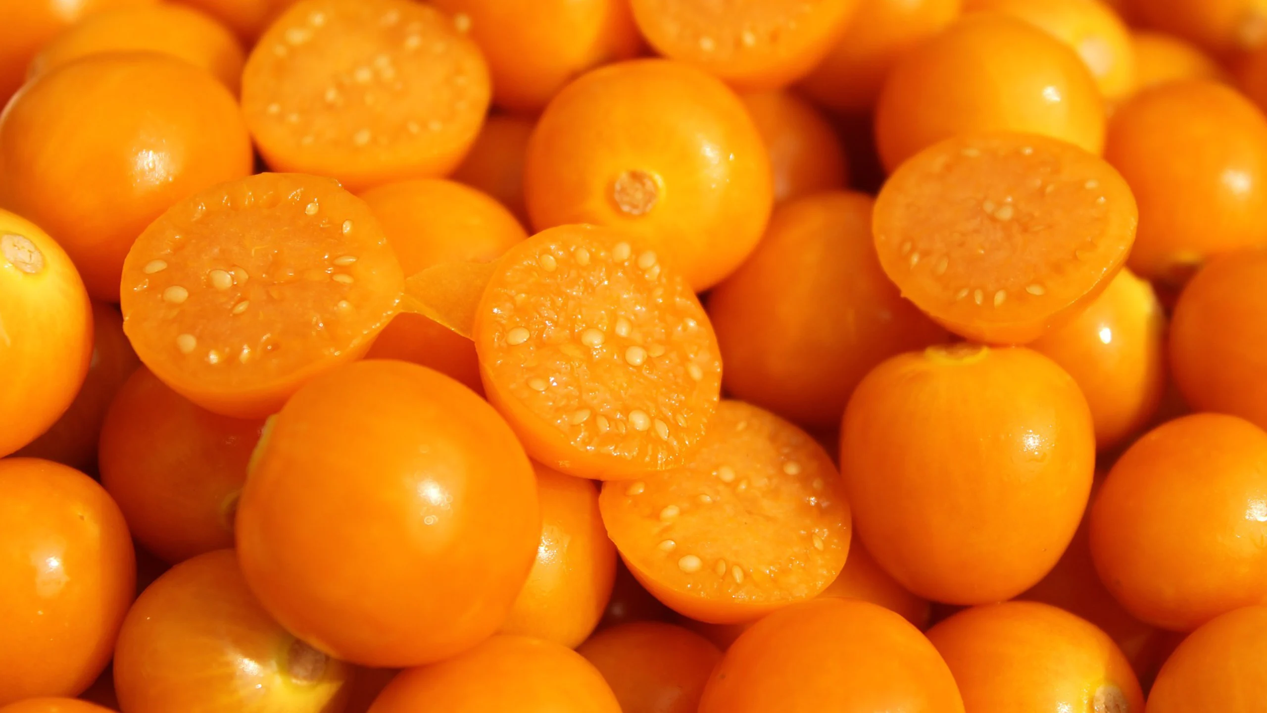 ¿Qué son las uchuvas o cerezas de la tierra?