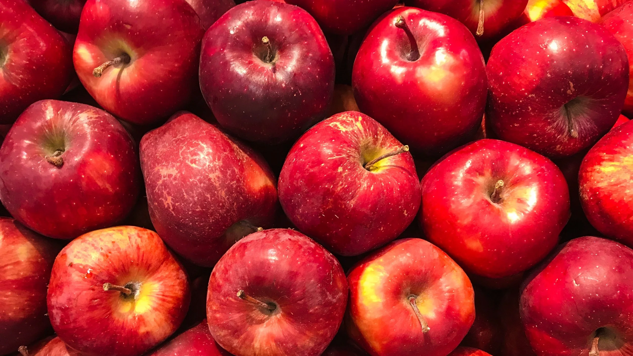 5 variedades de manzanas y cómo usarlas en la cocina