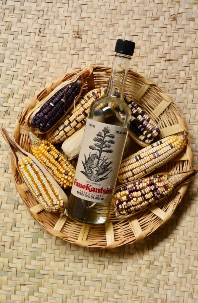 Mezcal-Fane Kantsini