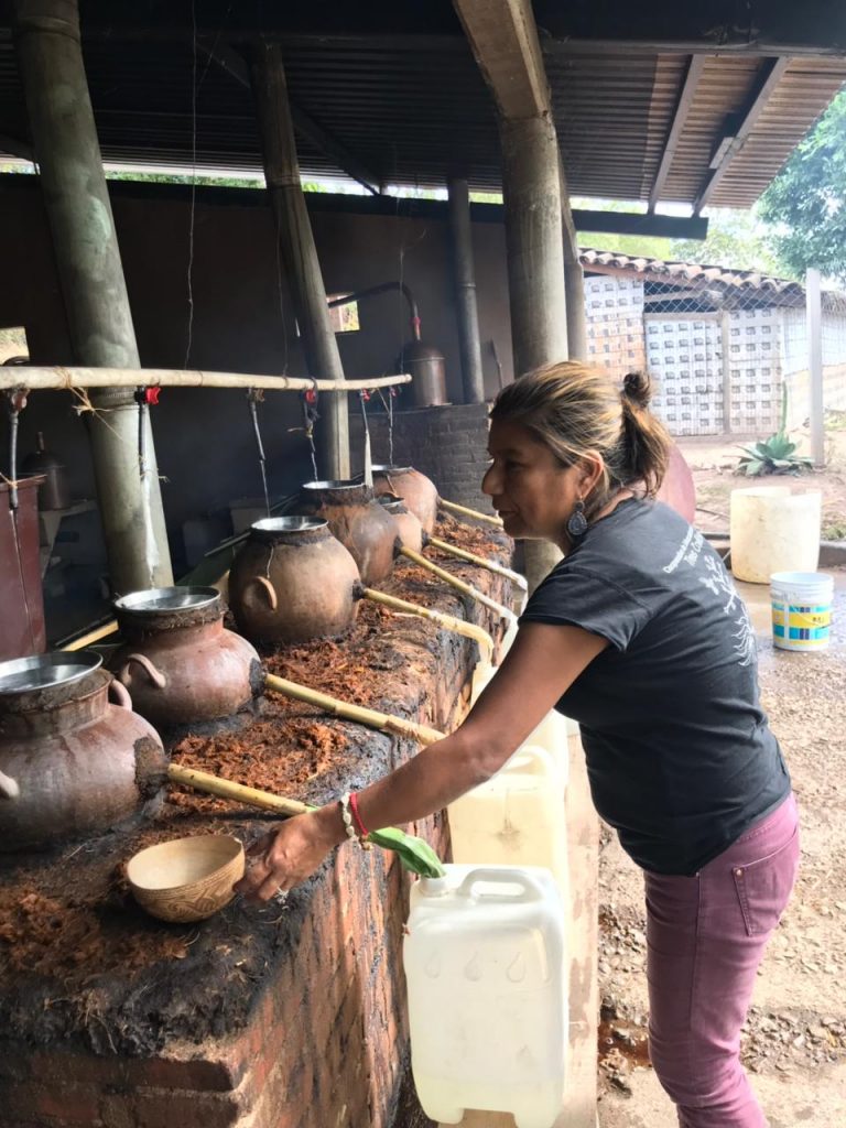 Sosima Olivera-Mezcal FaneKantsini