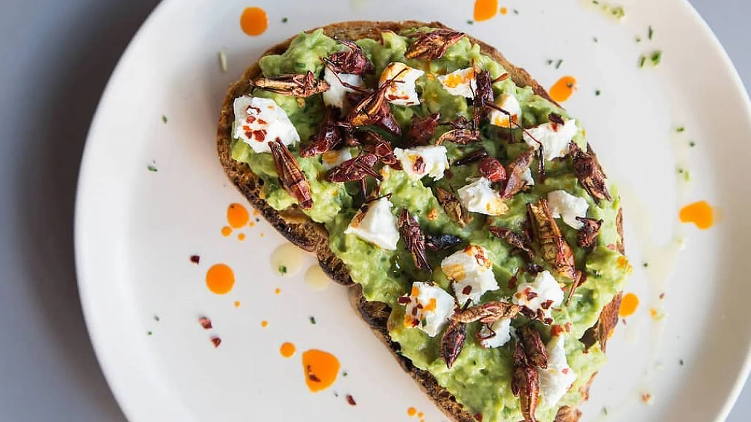Borona lonchería: comfort food y amor por los ingredientes mexicanos