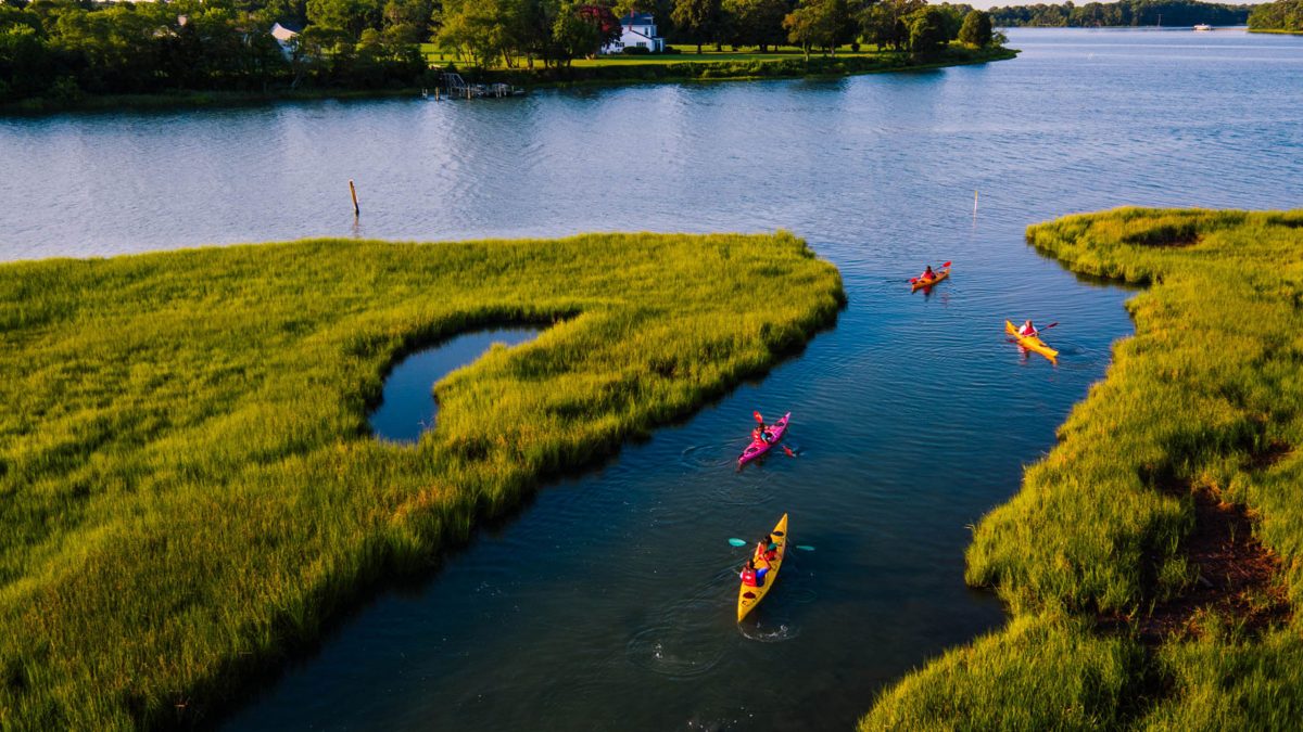 Kayak en los viñedos de Chatham, en la costa este de Virginia.