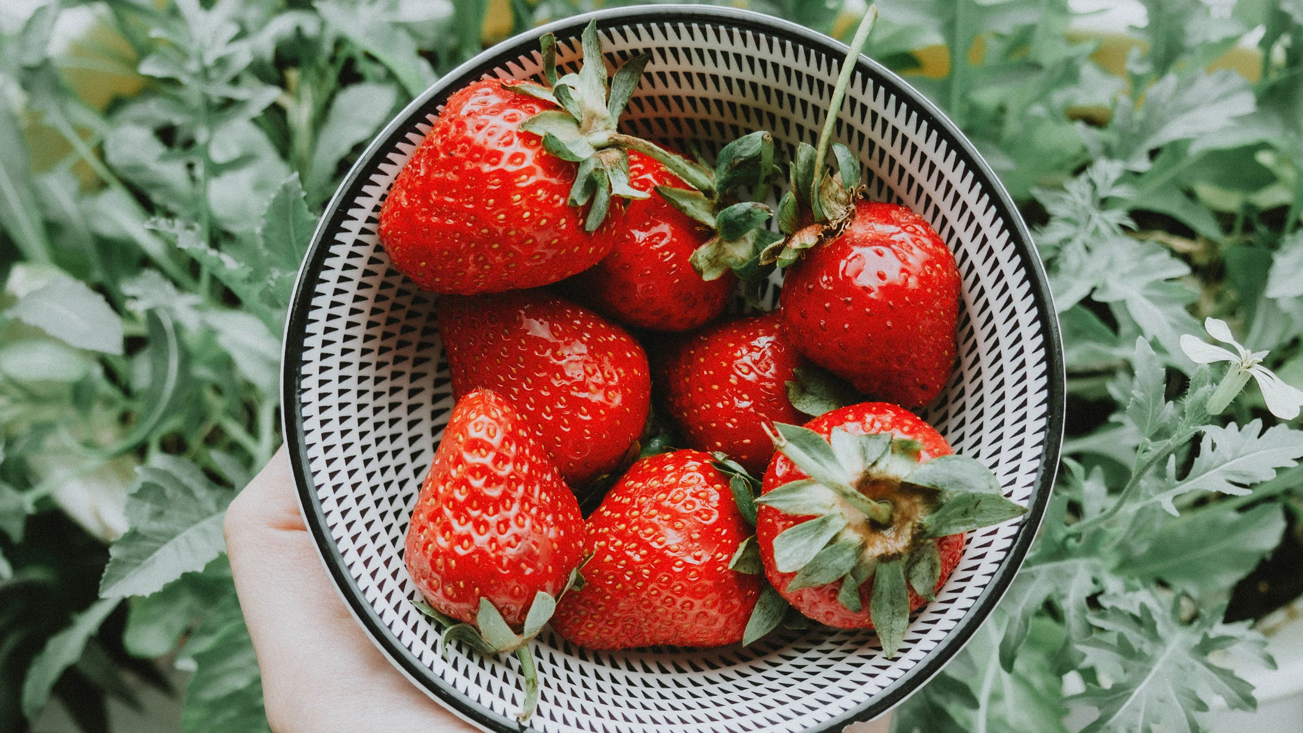 Frutas que puedes cultivar en casa fácilmente