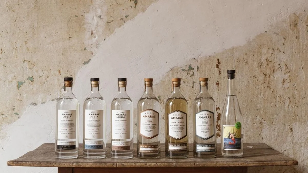 Mezcal Amarás, la reinvención de Mezcal Amores