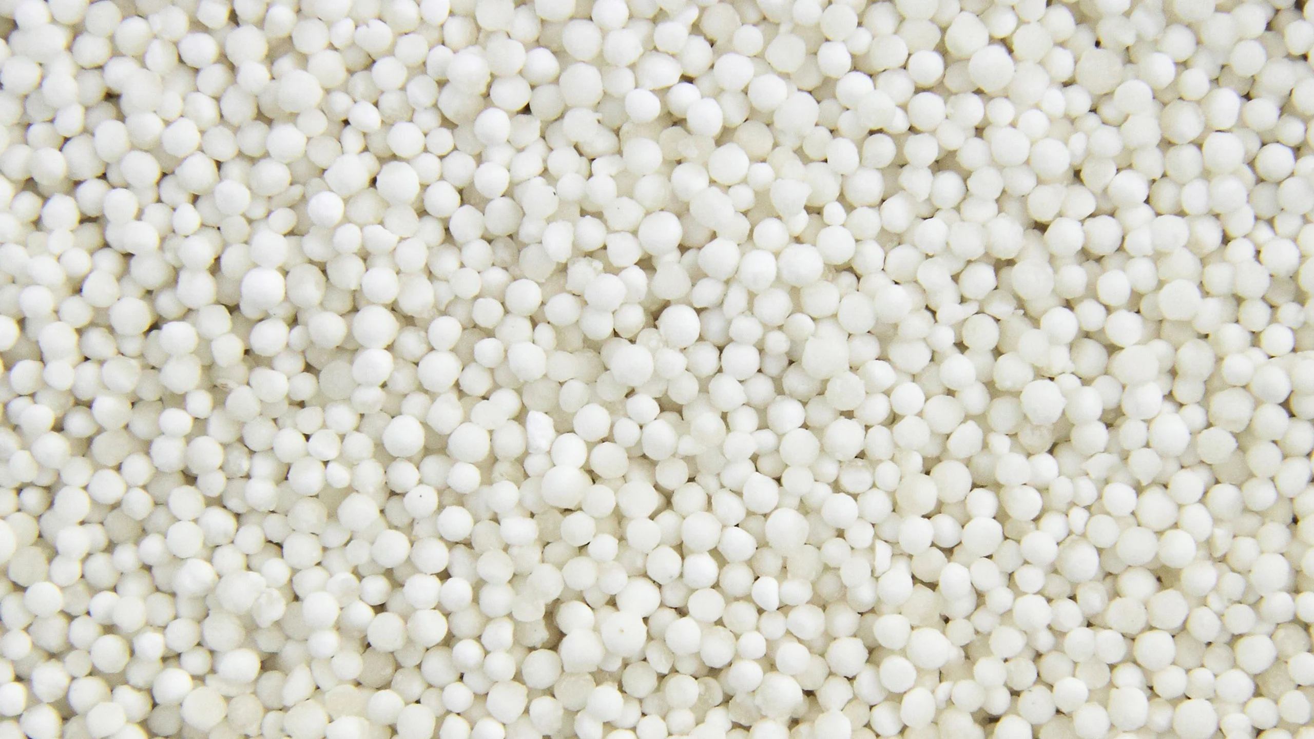 ¿Qué es la tapioca y cómo se prepara?