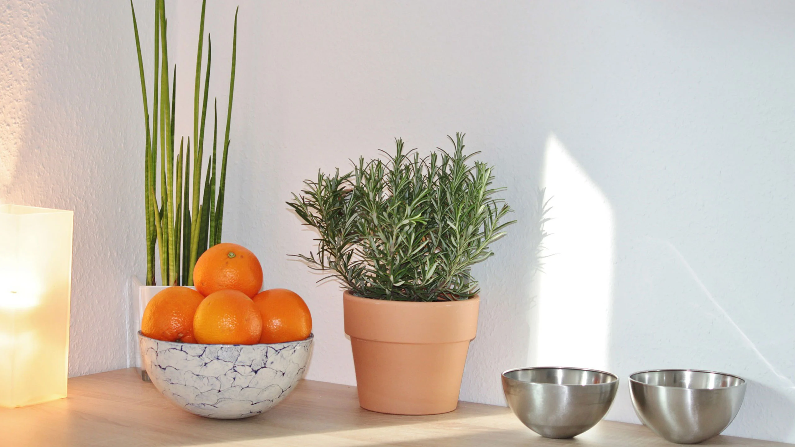 Plantas para alejar insectos de tu cocina