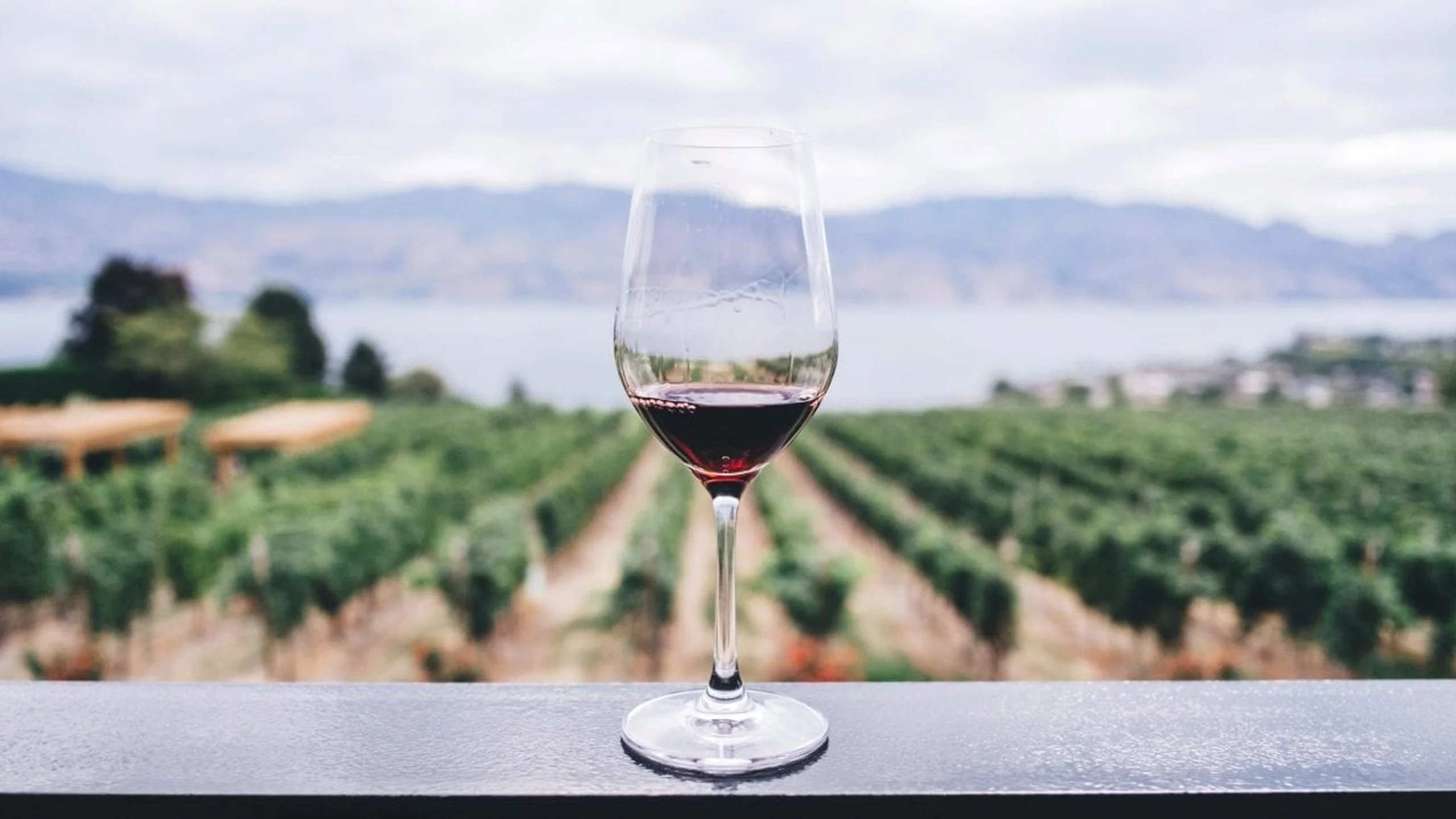 ¿El vino mexicano tiene Denominación de Origen? ¿El vino mexicano tiene Denominación de Origen?