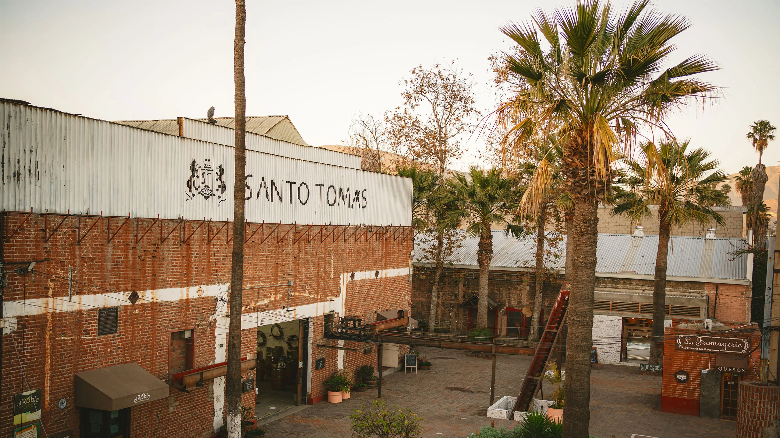 Conoce la nueva Plaza Santo Tomás en Ensenada