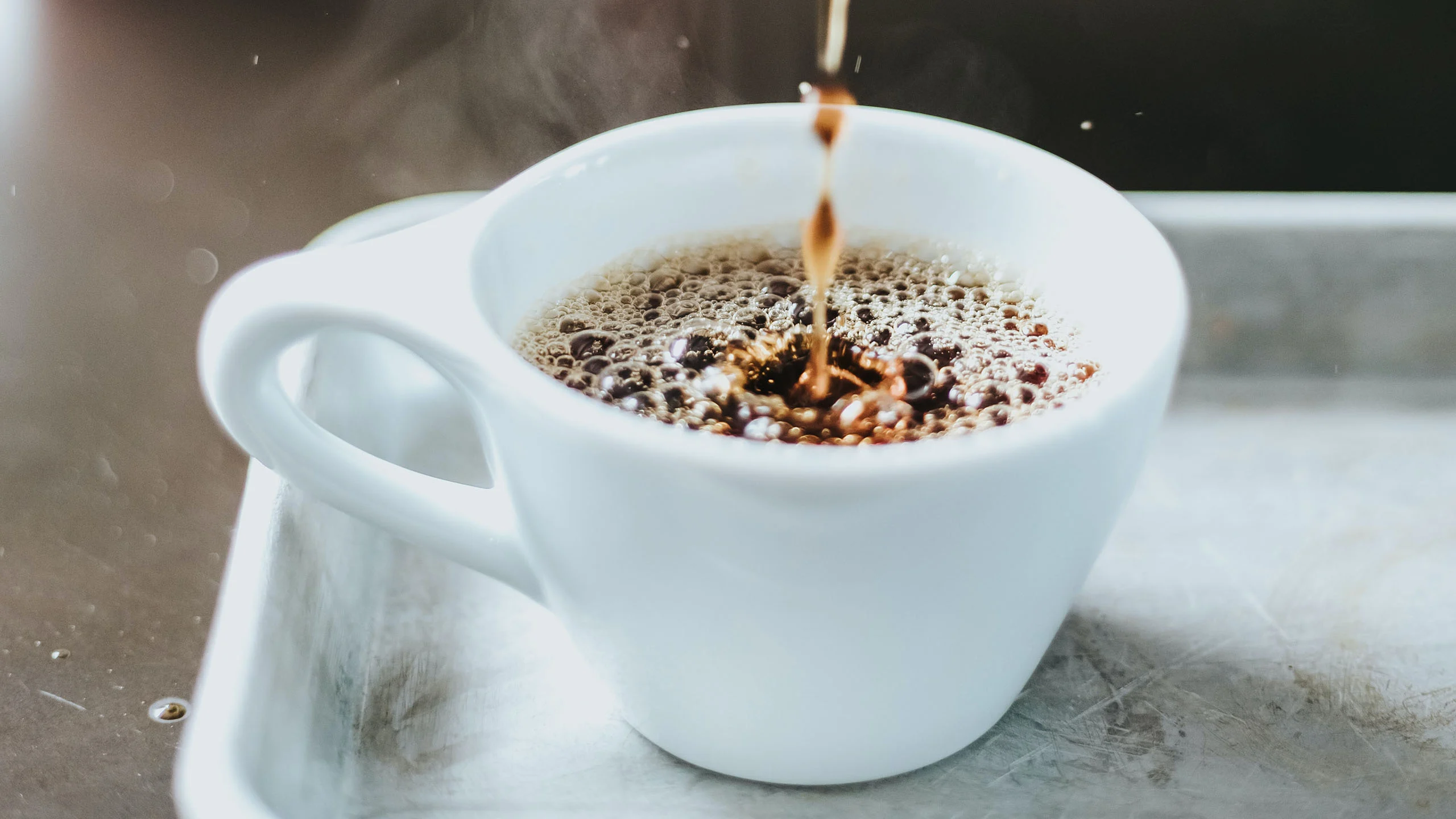 El café veracruzano es premiado como el mejor de México