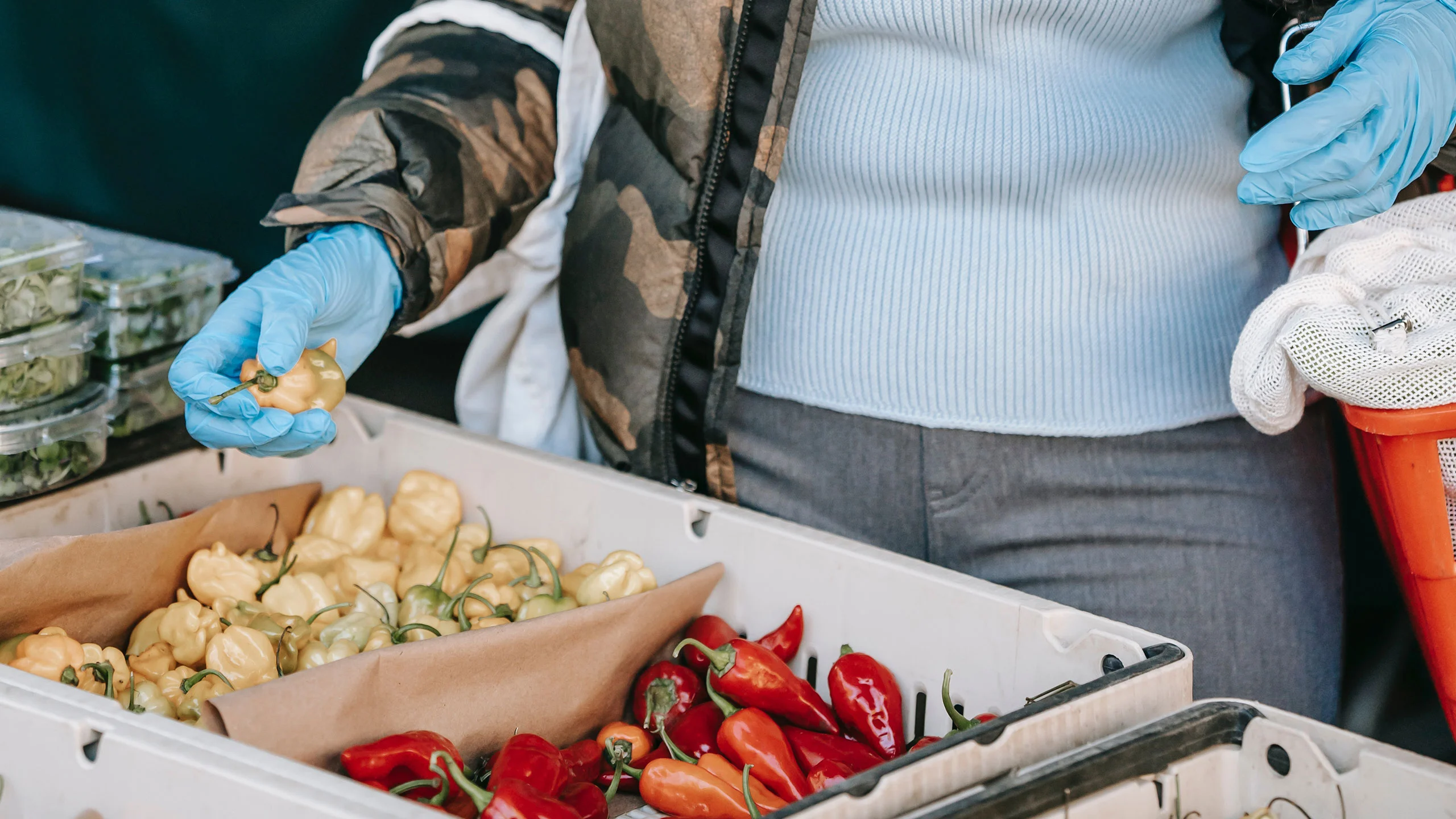 ReFood: La ONG española que está reduciendo el desperdicio de comida