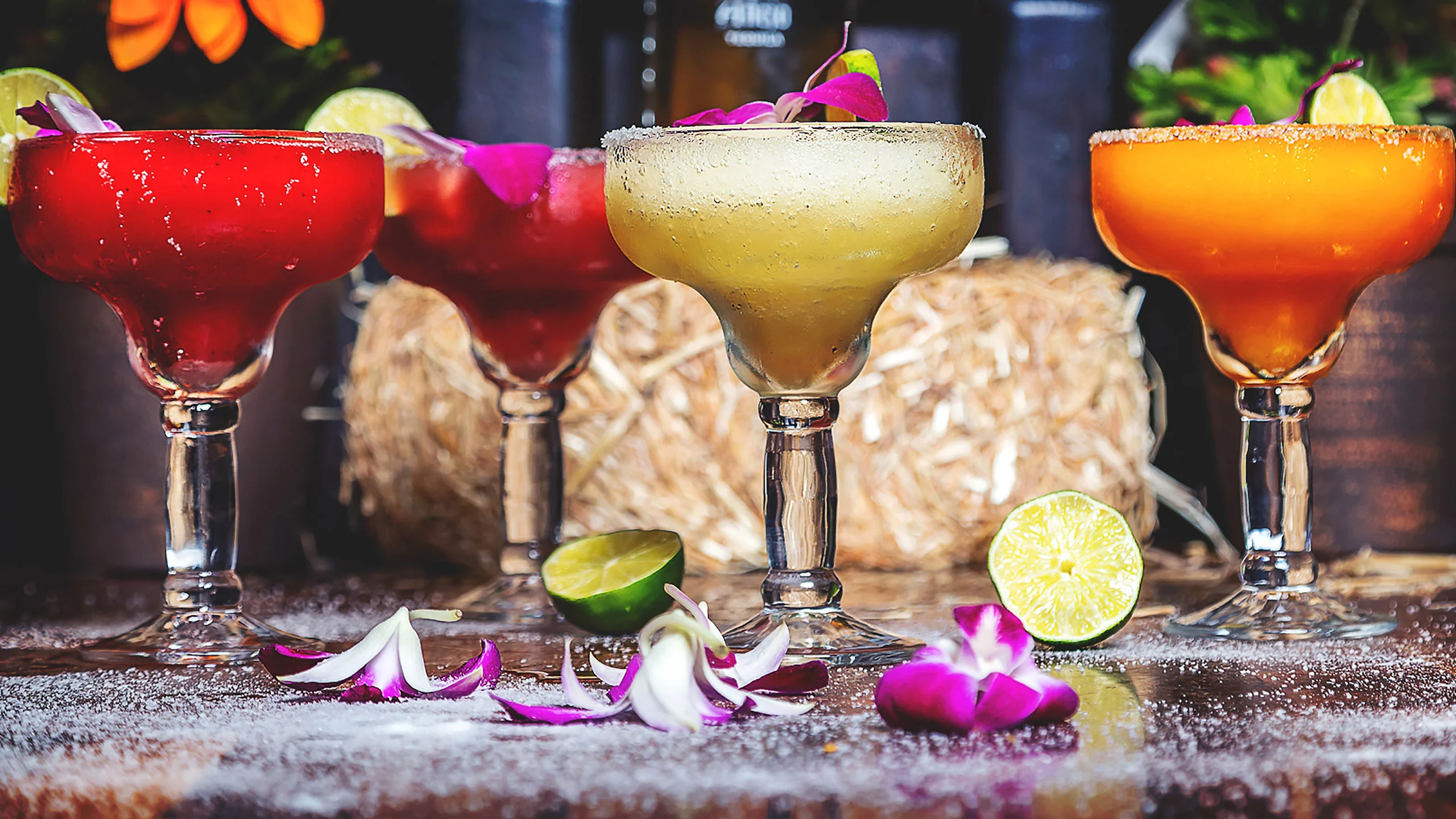 Tips para preparar una margarita perfecta Tips para preparar una margarita perfecta