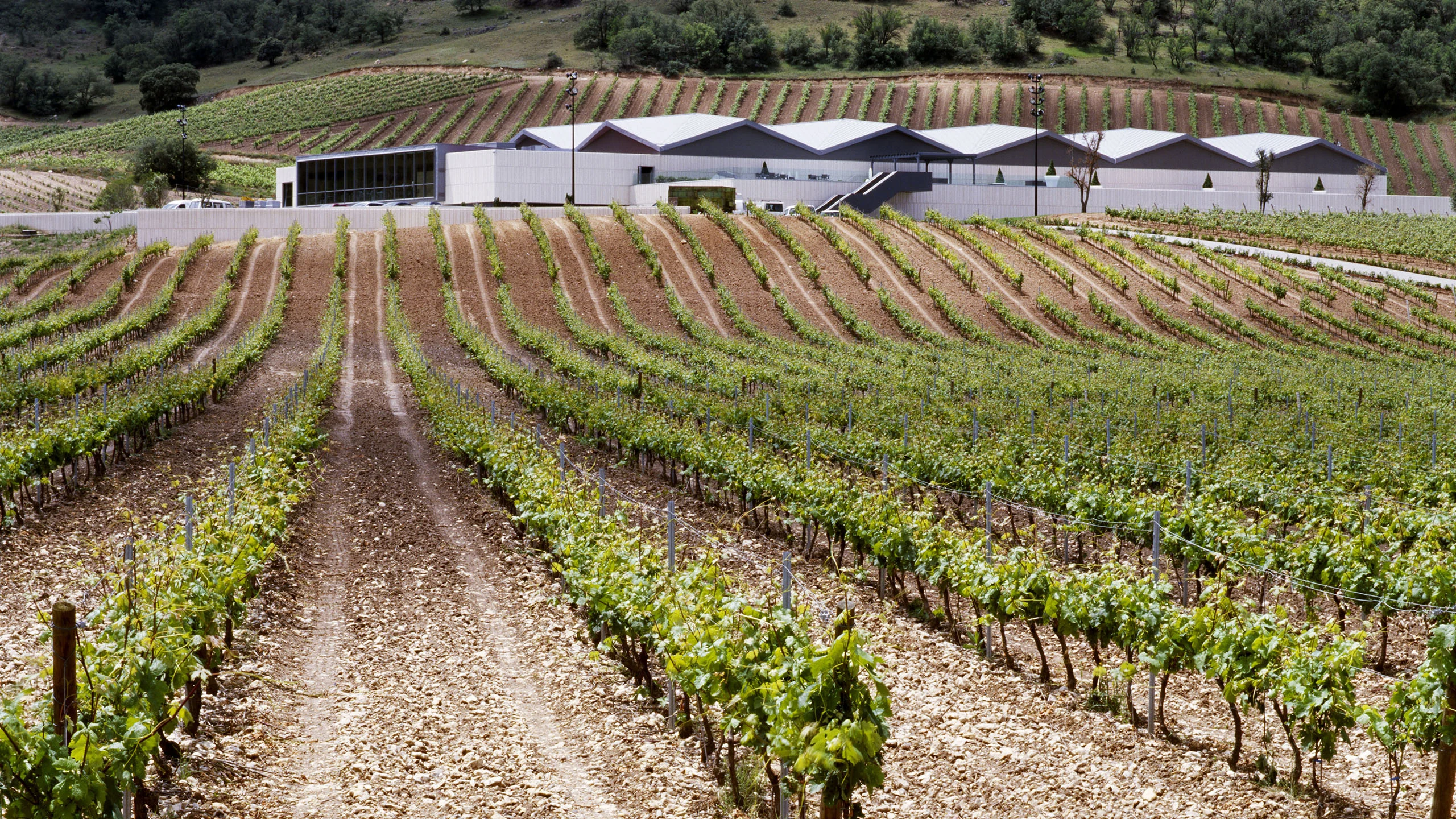 Dos vinos de la bodega Cepa 21 que vale la pena probar Dos vinos de la bodega Cepa 21 que vale la pena probar