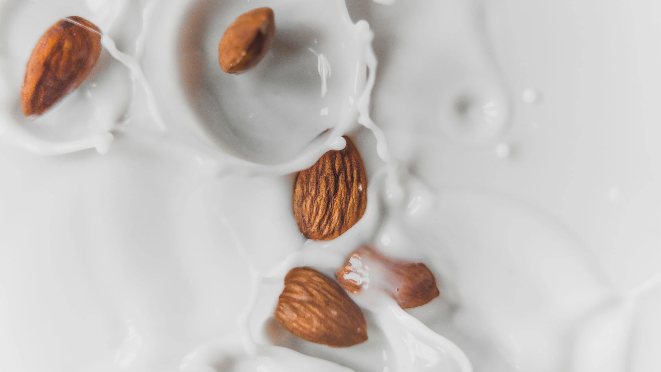 ¿Por qué la producción de leche de almendras amenaza a las abejas?