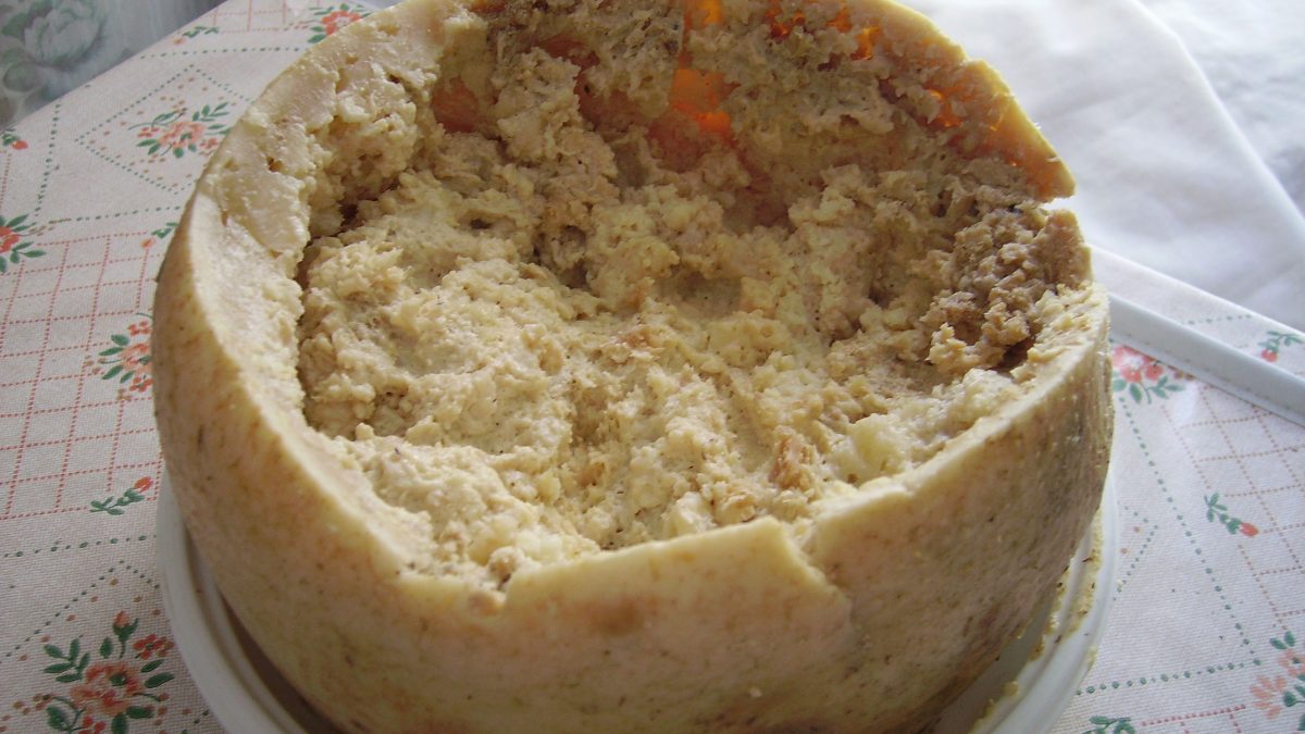 Queso-Casu-marzu