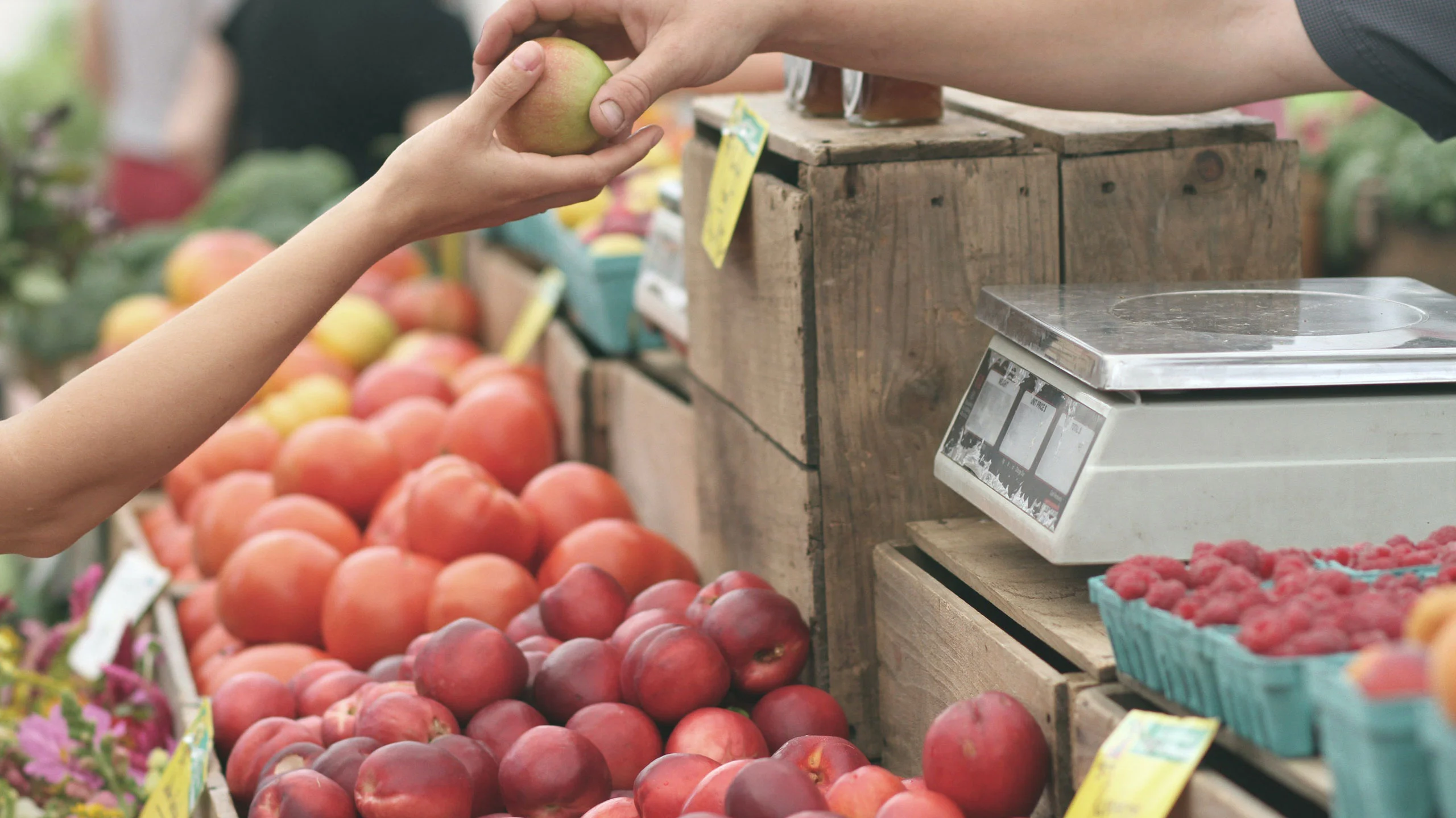 En este mercado puedes canjear materiales reciclables por alimentos orgánicos