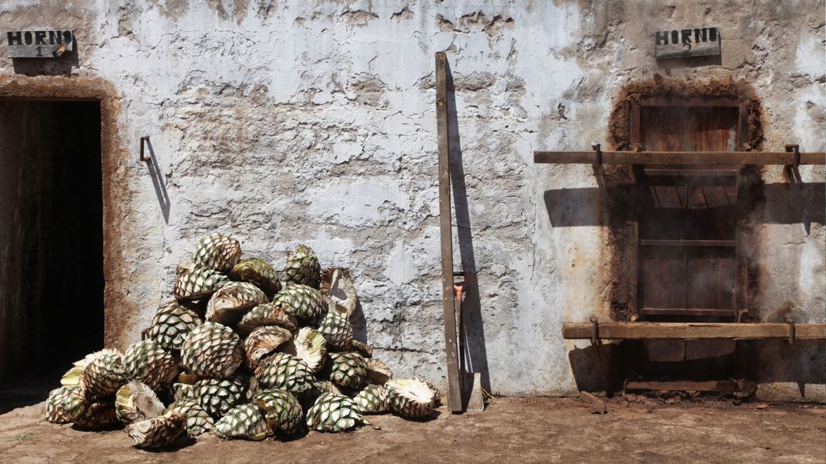 Agave-policia-drones