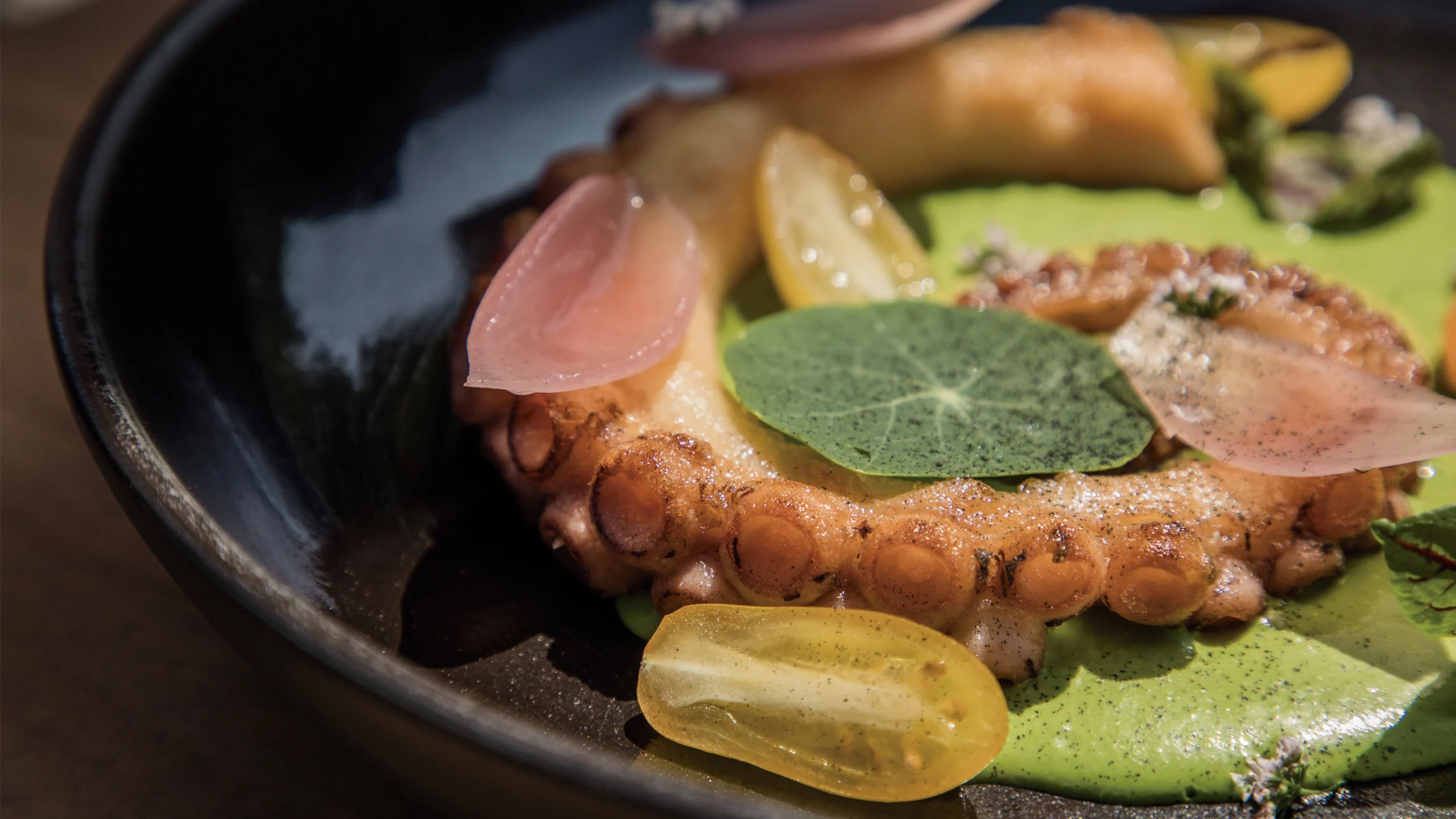 Gastrohoteles Parte 3: Oaxaca y Ciudad de México