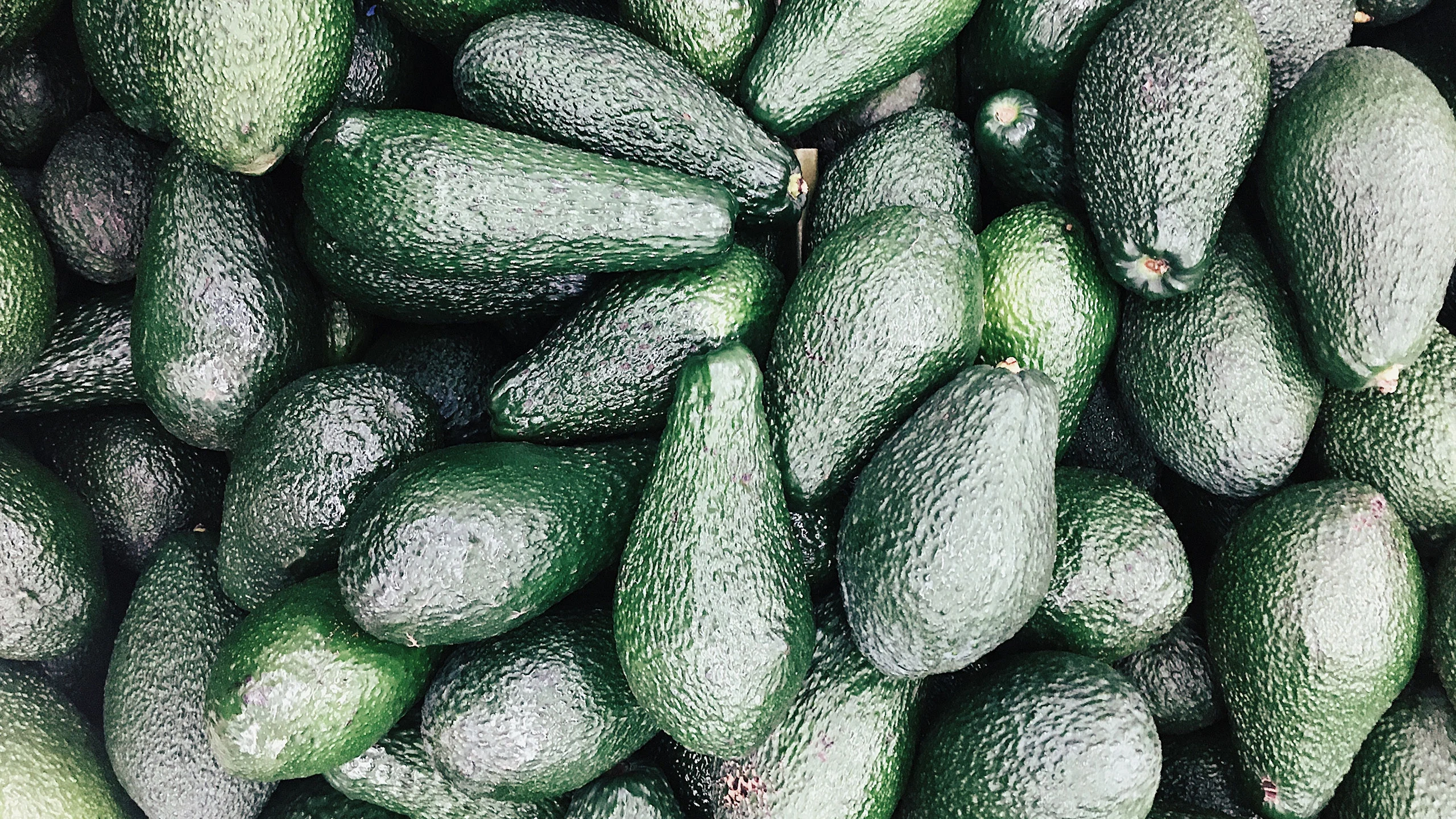 El aguacate será la fruta más vendida en el 2030