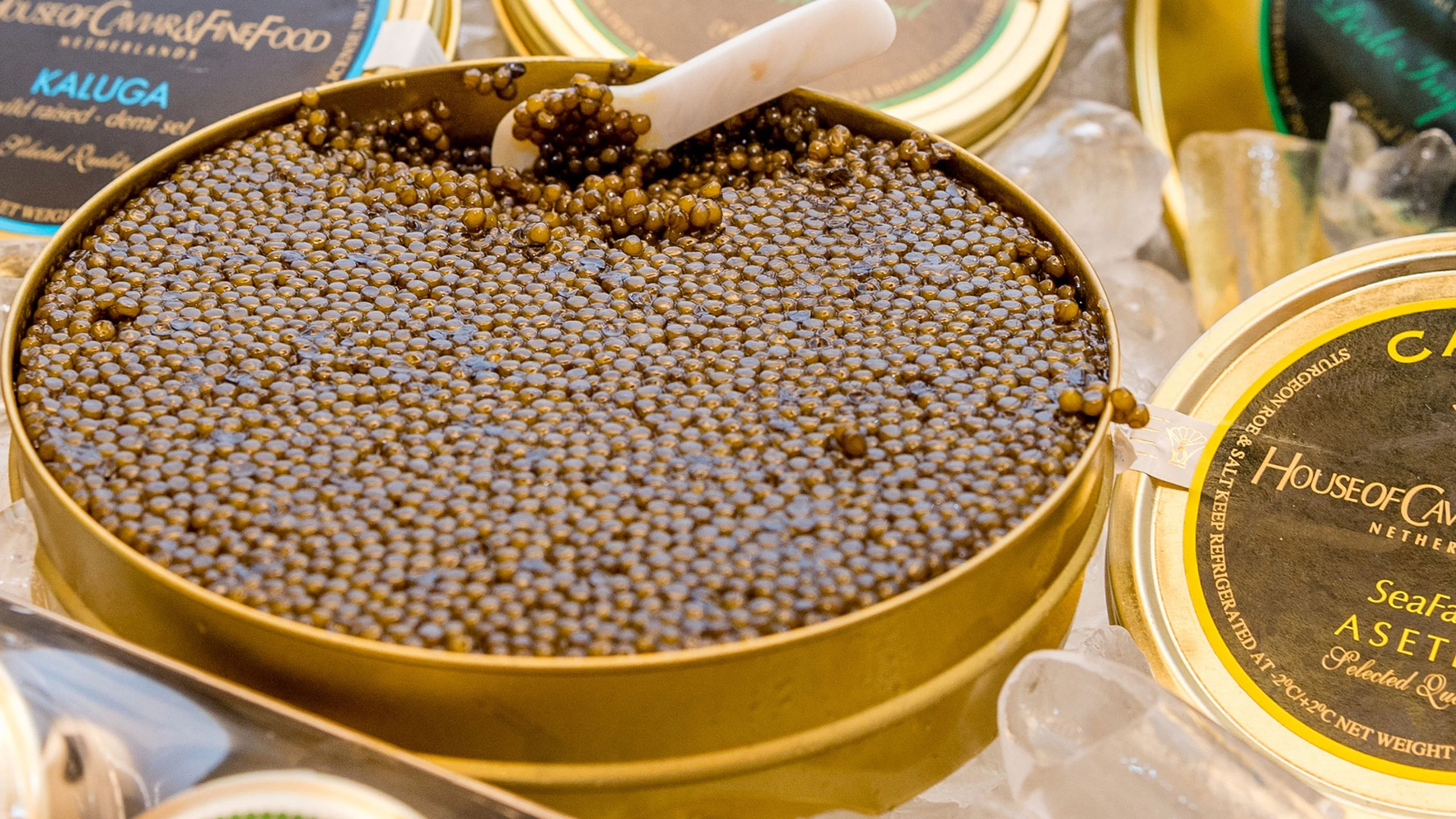 Estos son los 10 alimentos más caros del mundo