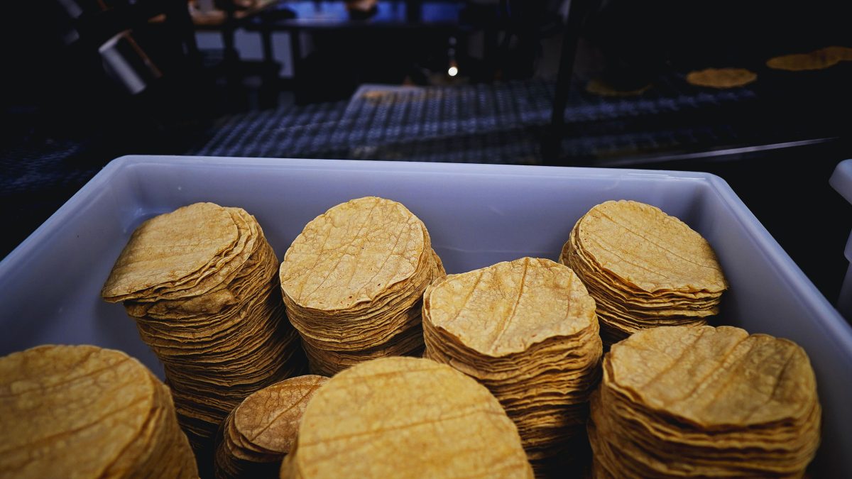importación-de-maíz