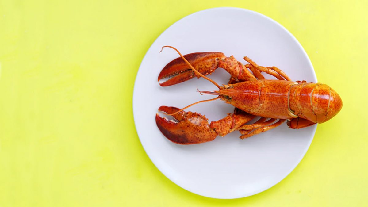 langosta