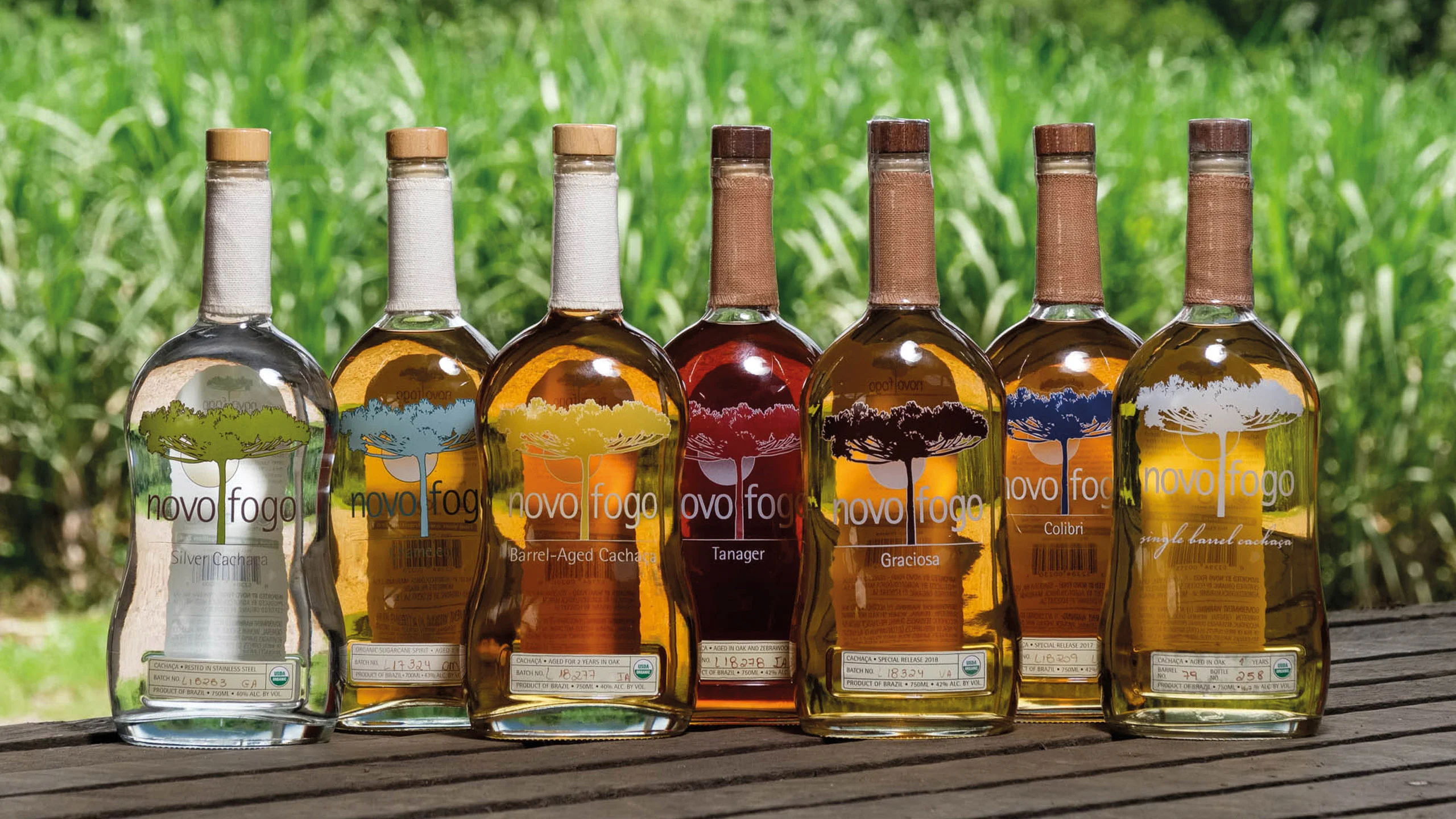 La bebida alcohólica más respetuosa con los árboles también es deliciosa