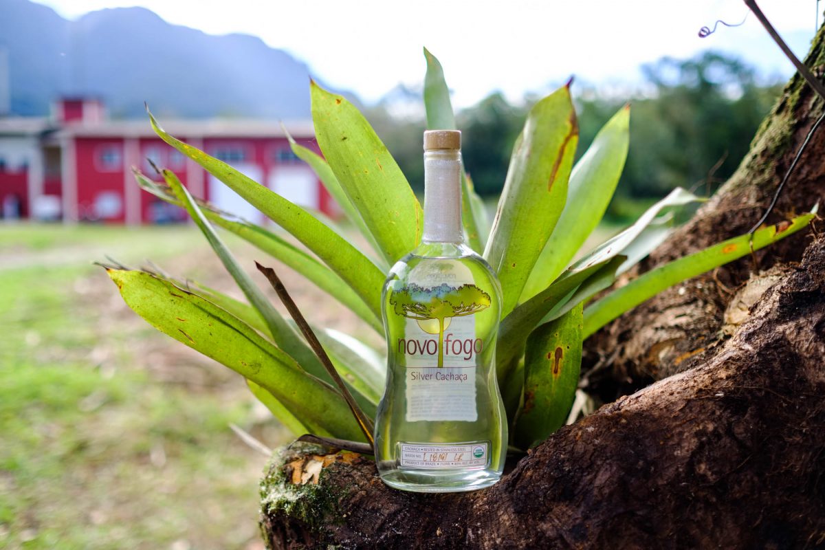 Brasil Novo Fogo cachaça