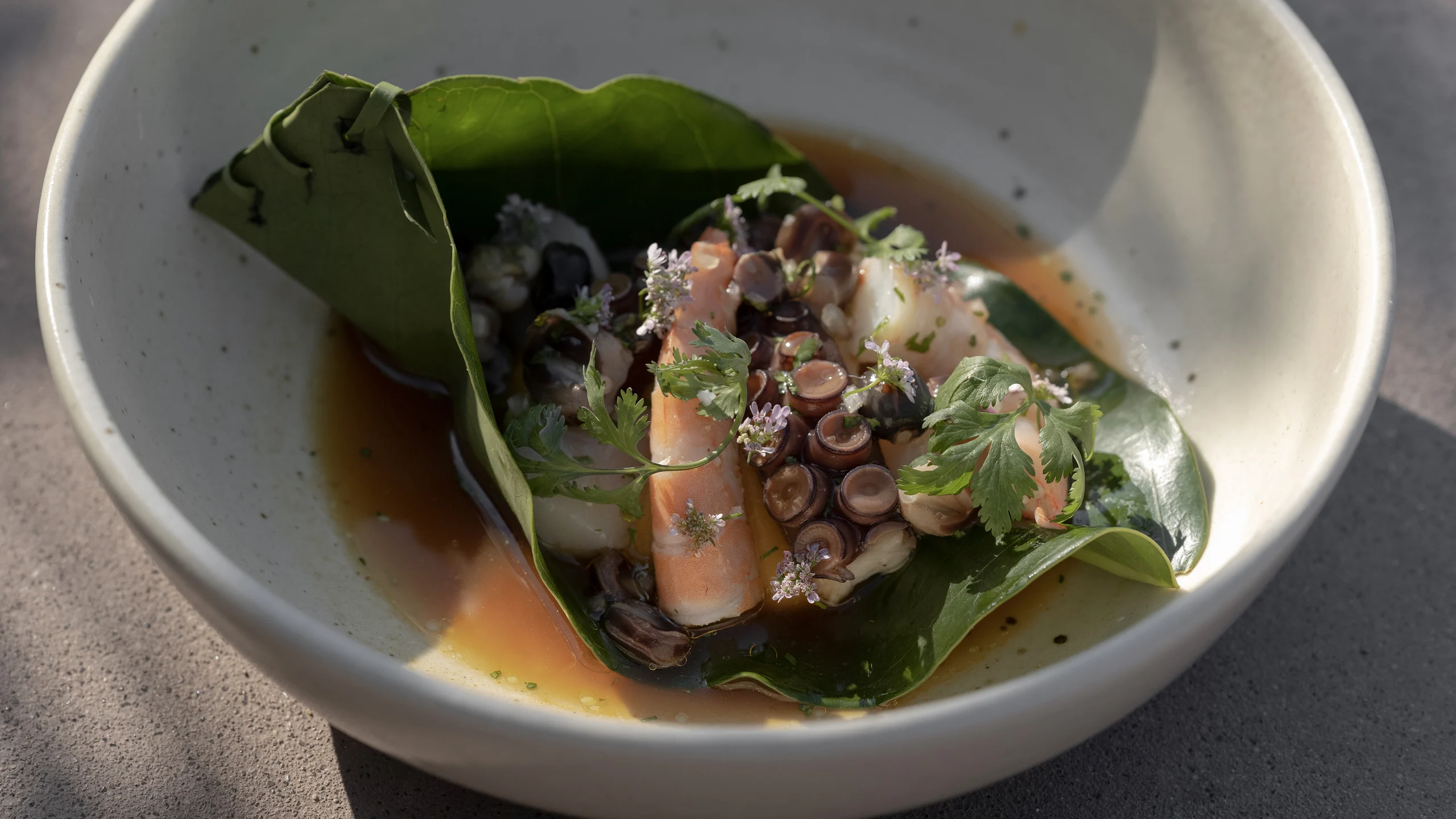 Gastrohoteles Parte 2: Riviera Nayarit, Guanajuato, Guerrero y Chiapas Gastrohoteles Parte 2: Riviera Nayarit, Guanajuato, Guerrero y Chiapas