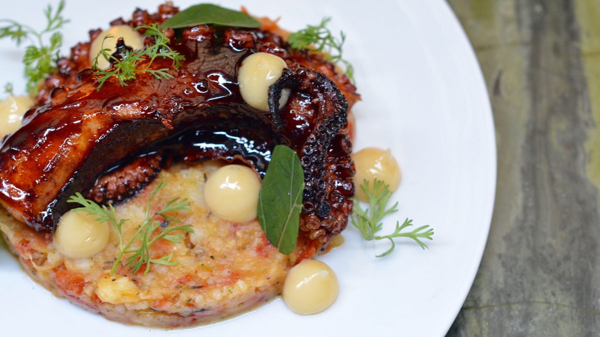 pulpo-treze
