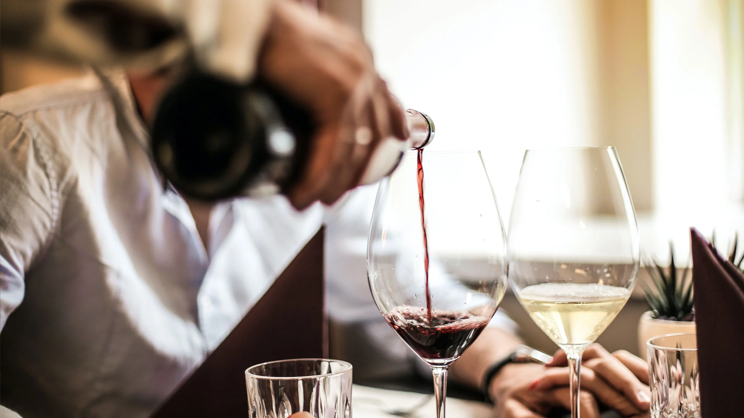 Capacitan a meseros y sommeliers para promover los vinos de Guanajuato