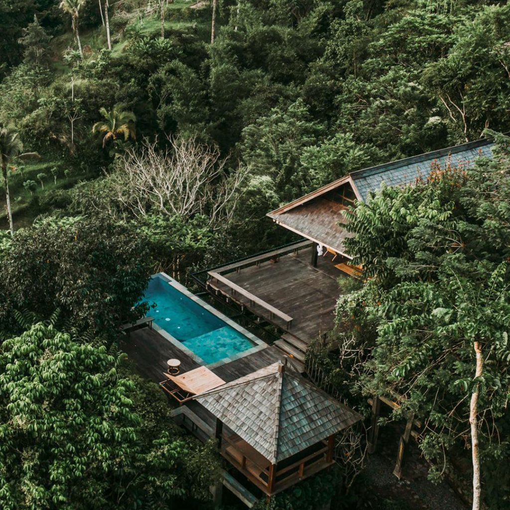 Banyan-tree-escape