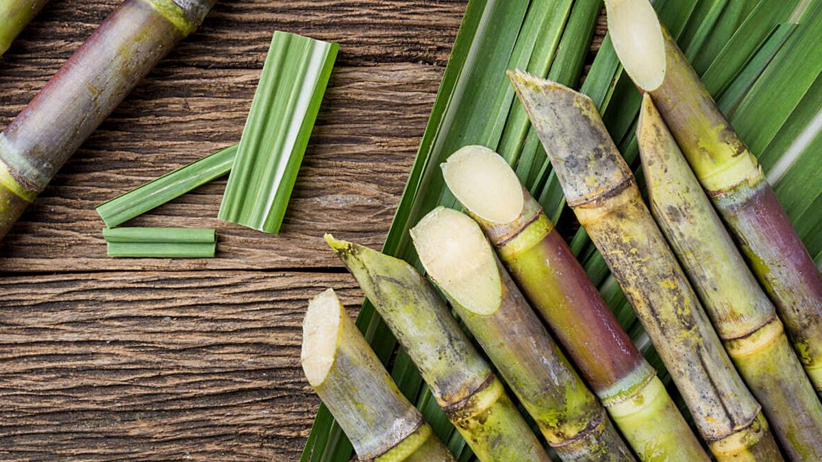 beneficios-cana-de-azucar