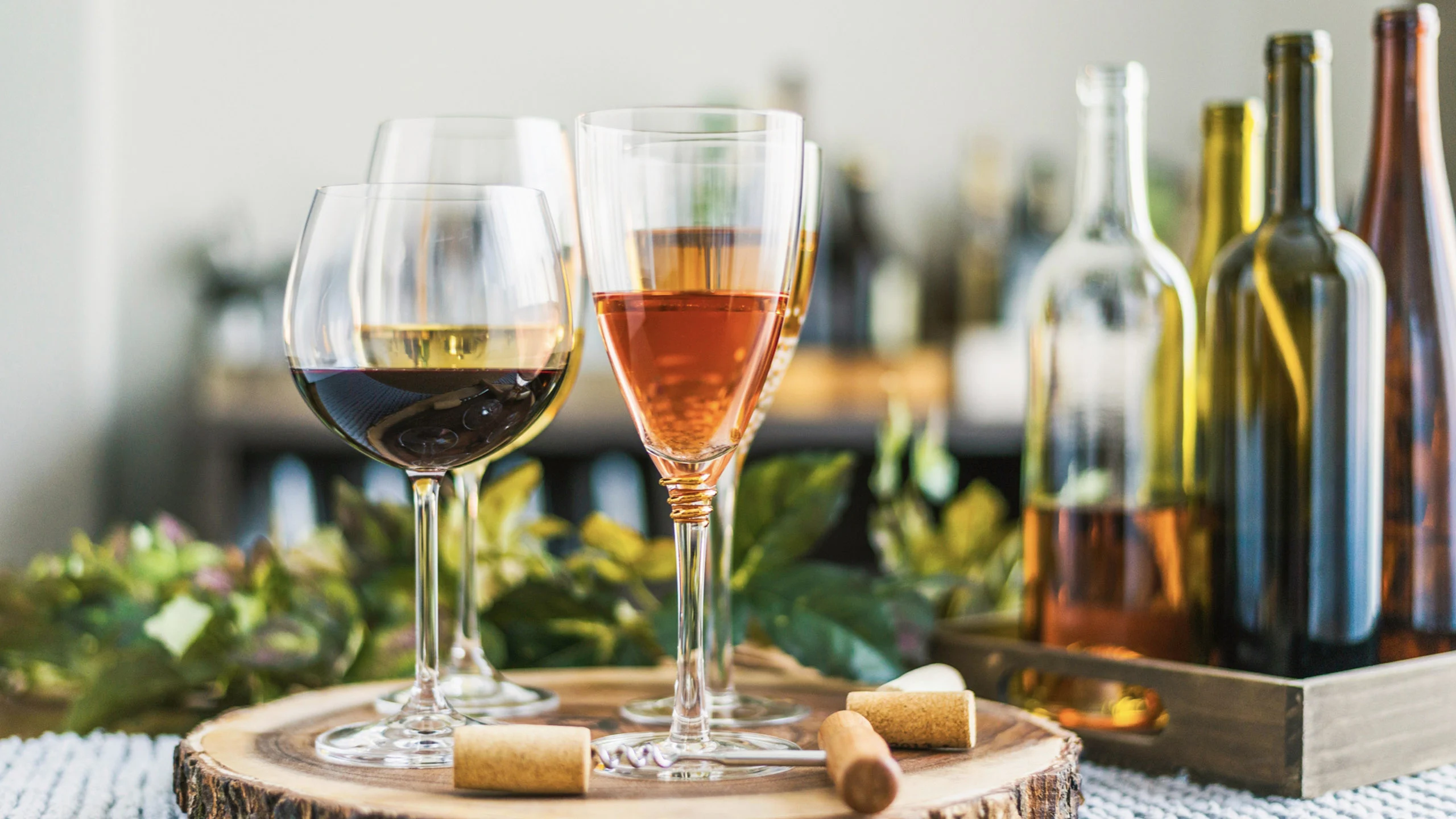 Empieza tu propia cava en 3 pasos