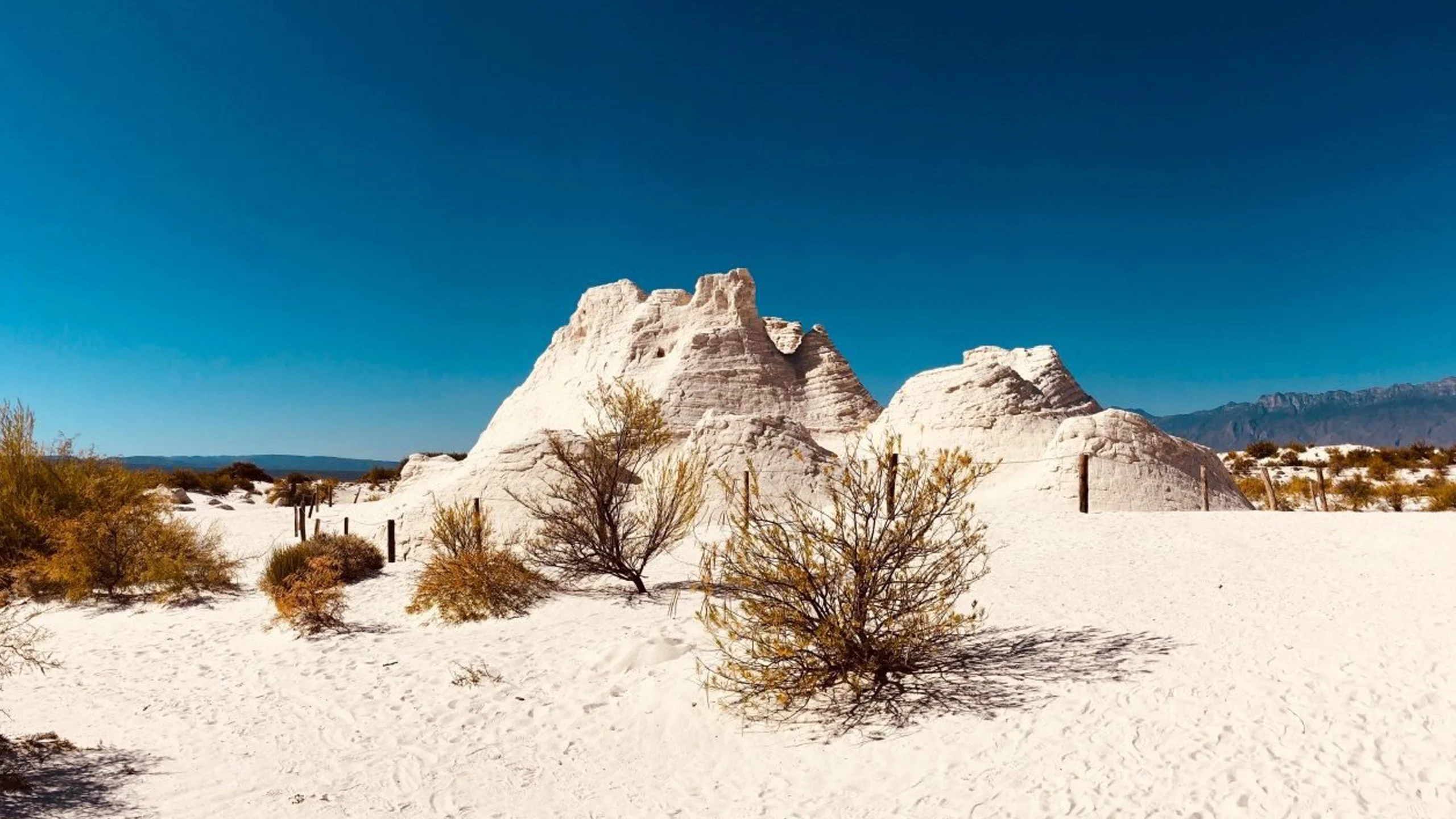 Cuatro Ciénegas: El destino que resguarda el llamado del desierto