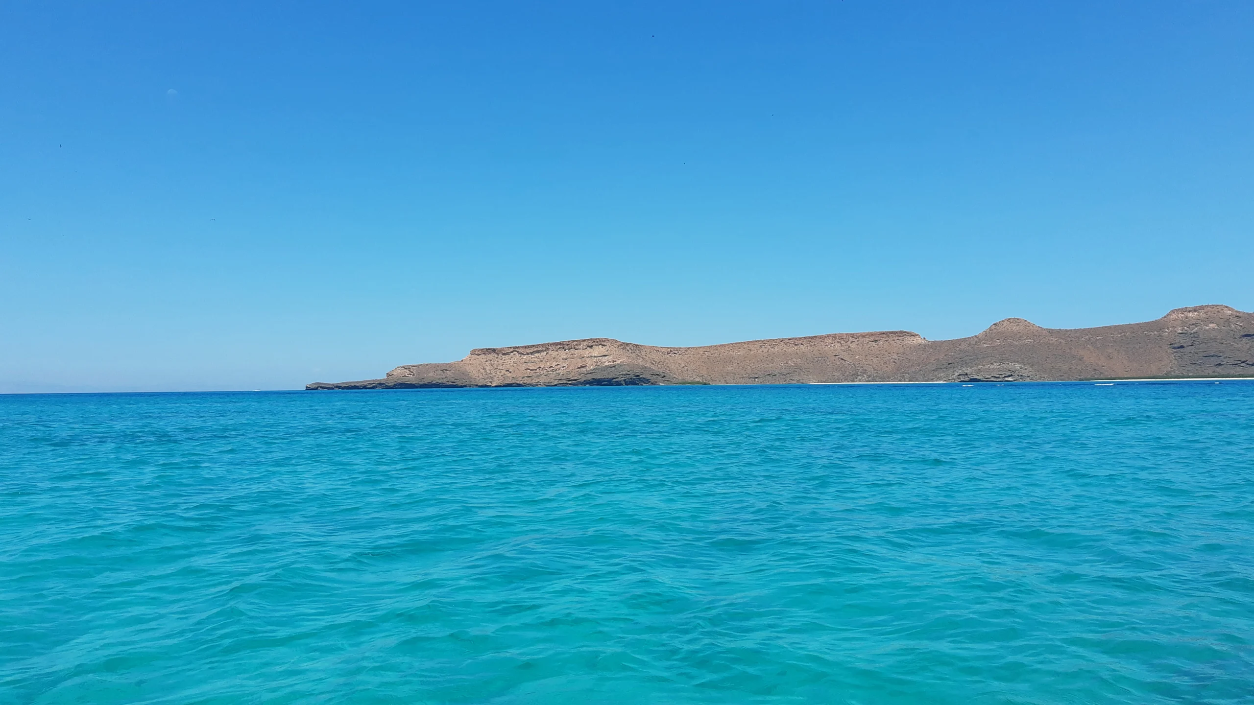 ¿Dónde comer como local en La Paz, Baja California? ¿Dónde comer como local en La Paz, Baja California?