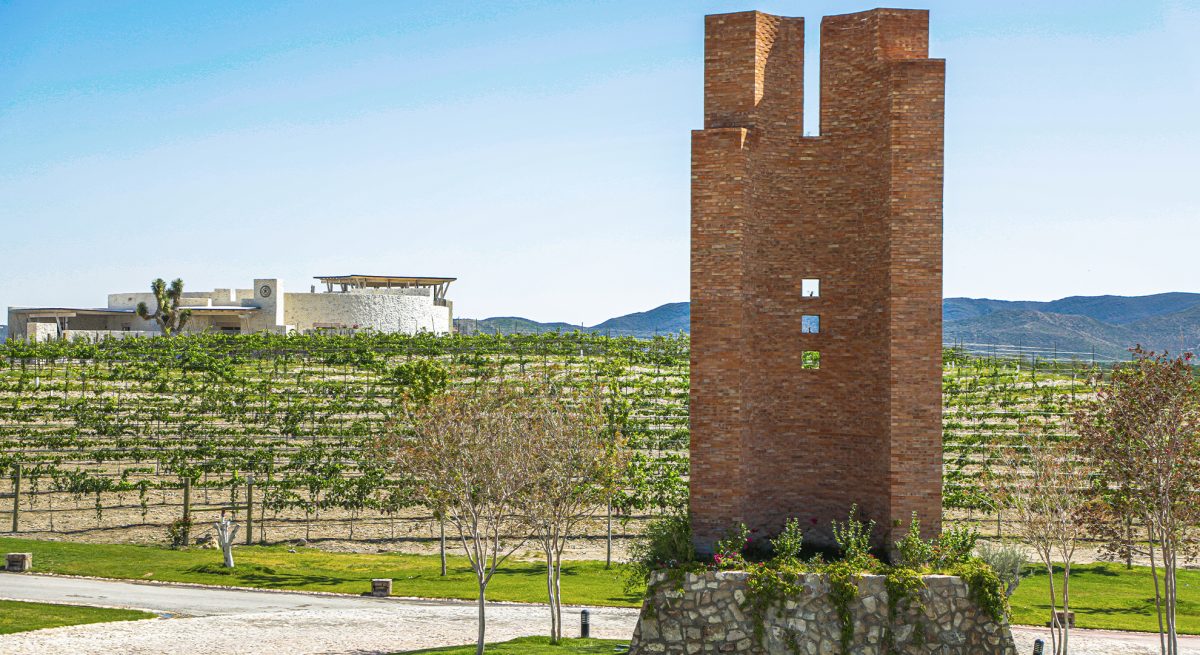vinos parvada