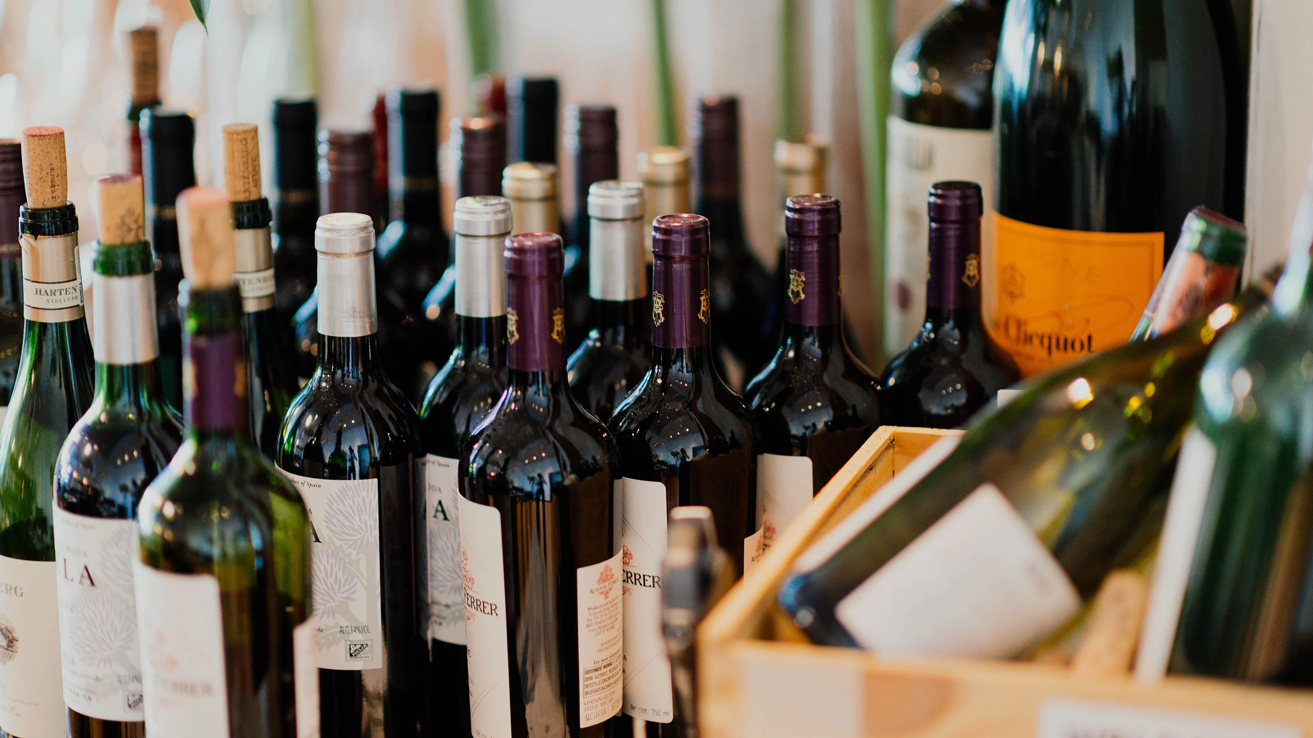 9 suscripciones de vino en México para descubrir nuevos sabores  y etiquetas cada mes