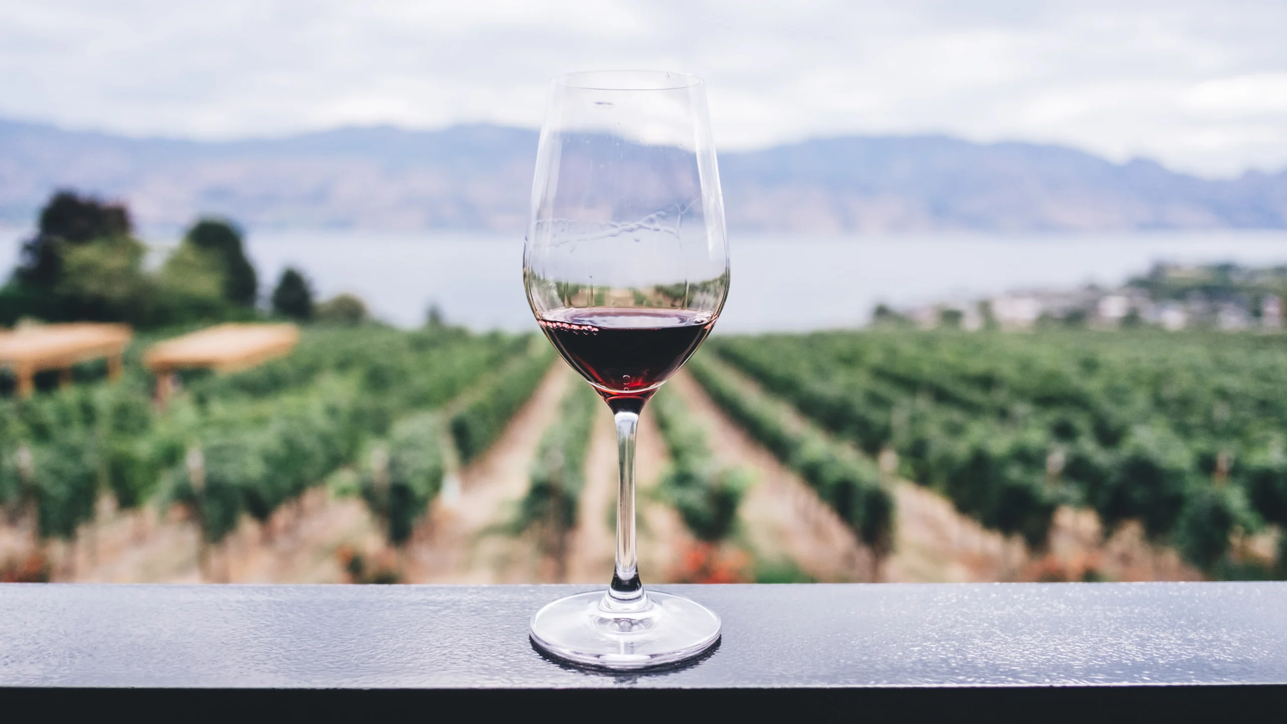 5 etiquetas de pinot noir orgullosamente mexicanas para probar ¡ya!
