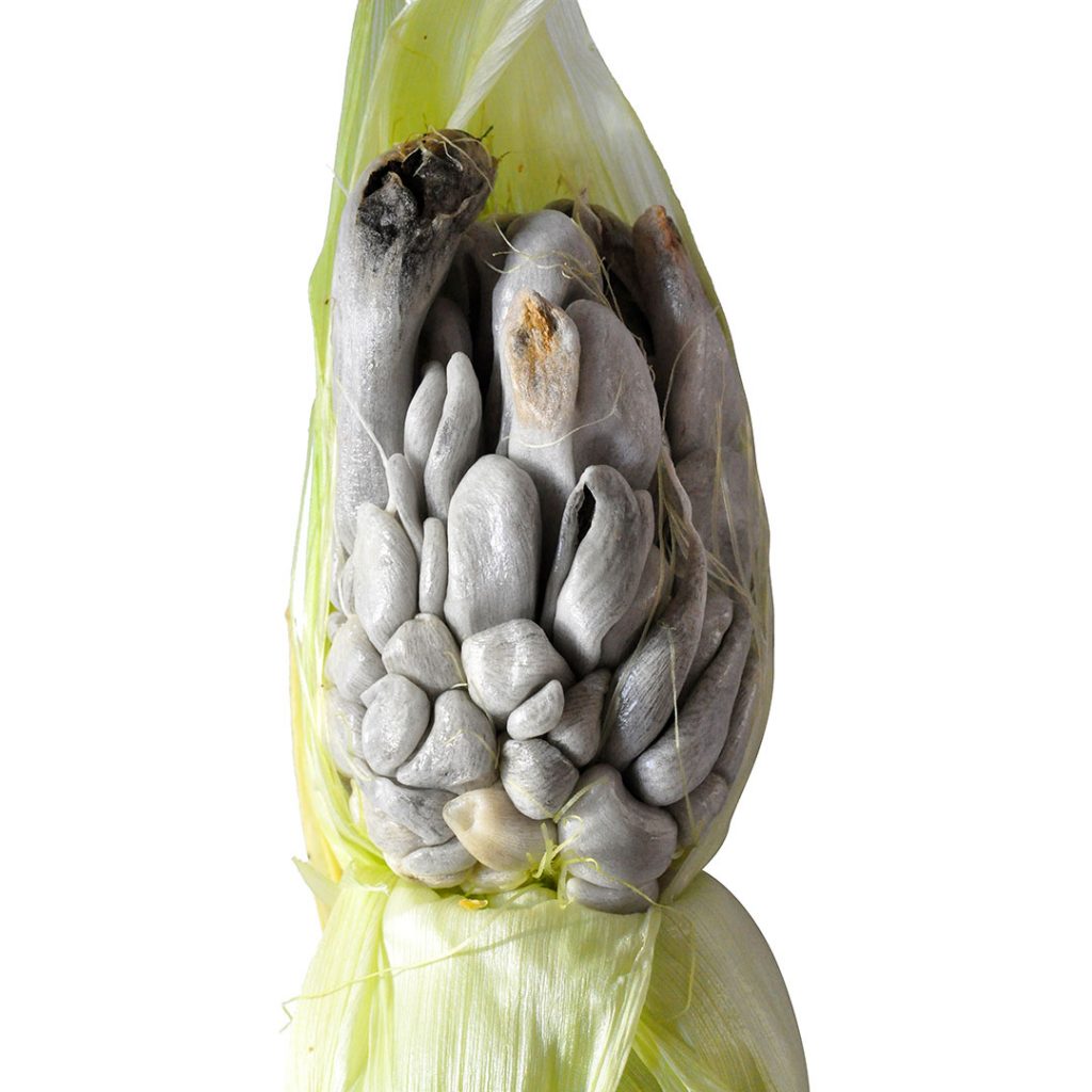 beneficios-huitlacoche